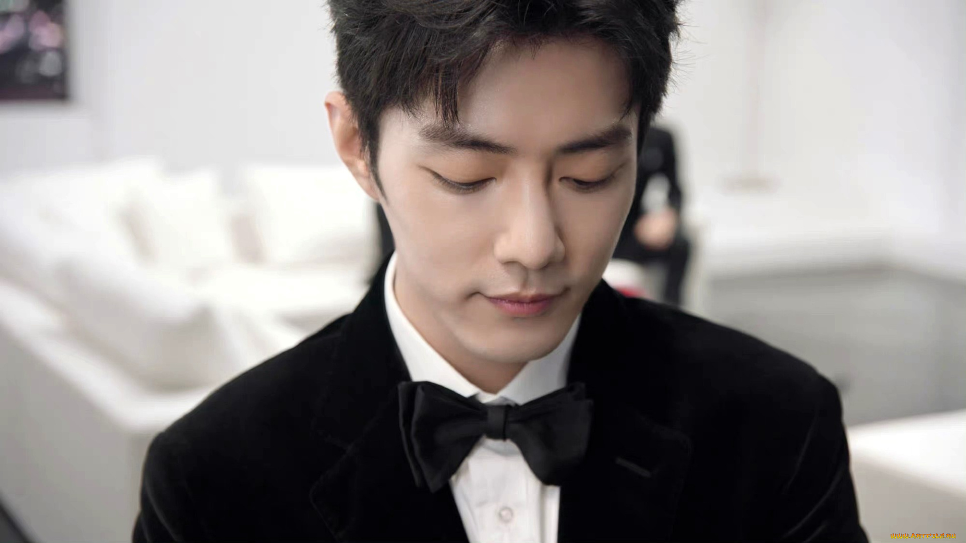 мужчины, xiao, zhan, актер, костюм, лицо, бабочка