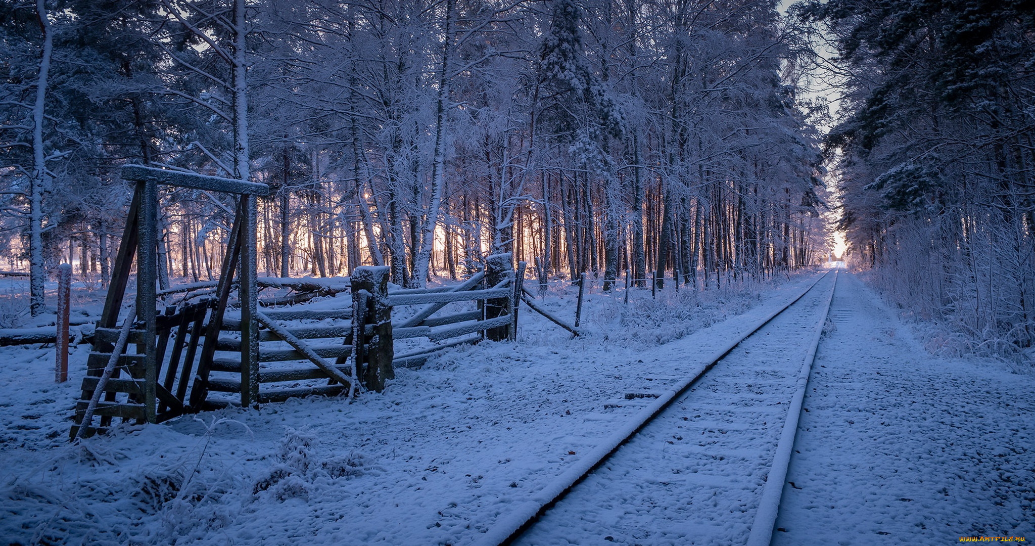 разное, транспортные, средства, и, магистрали, лес, снег, железная, дорога
