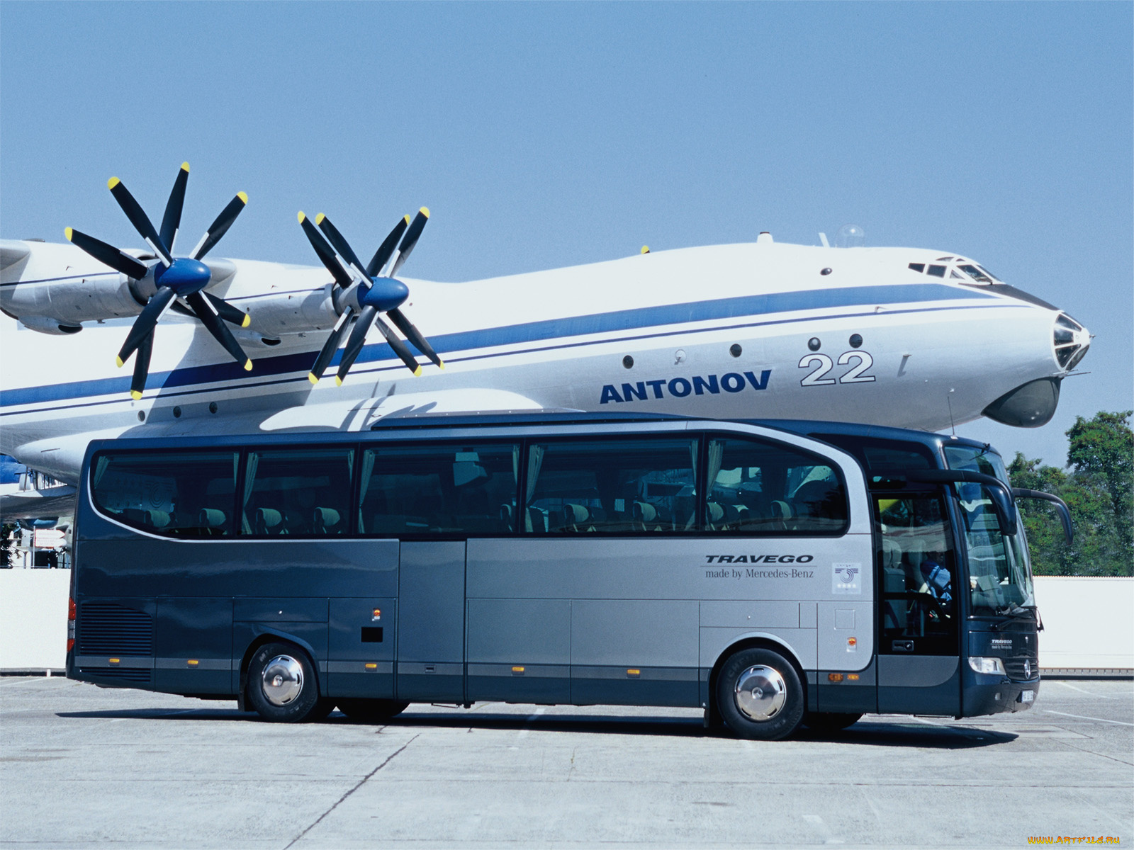 автомобили, автобусы