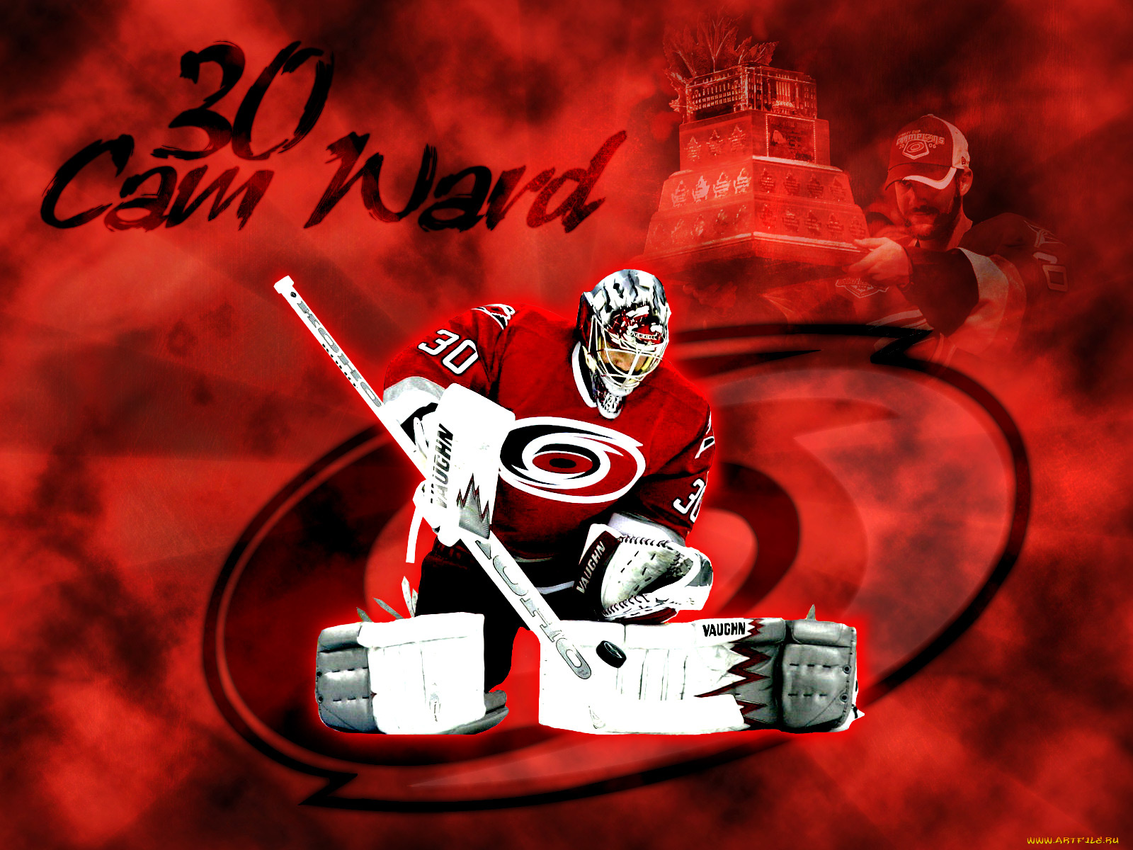 ward, cam, спорт, nhl