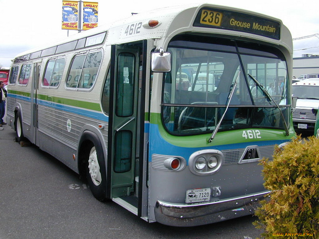 автомобили, автобусы