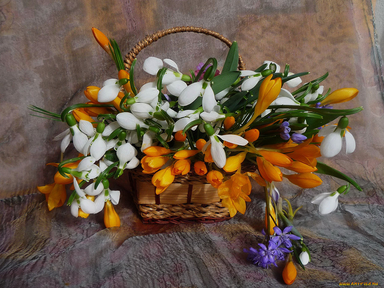 цветы, букеты, композиции