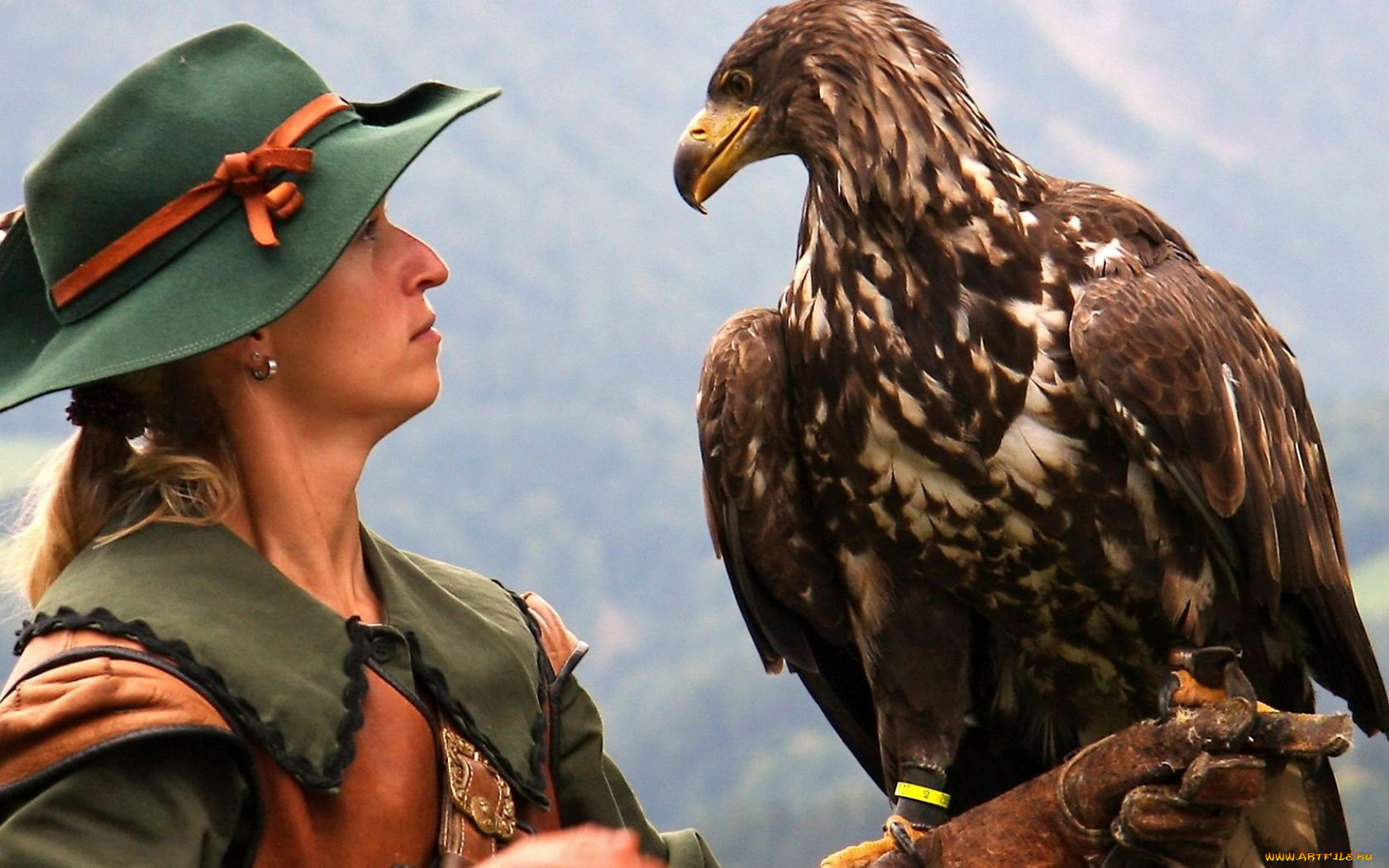 животные, птицы, хищники