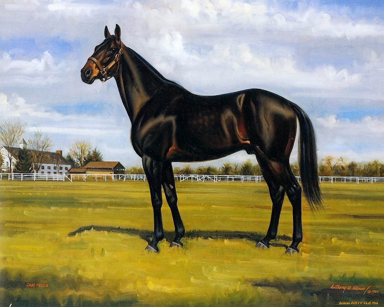 рисованные, животные, лошади