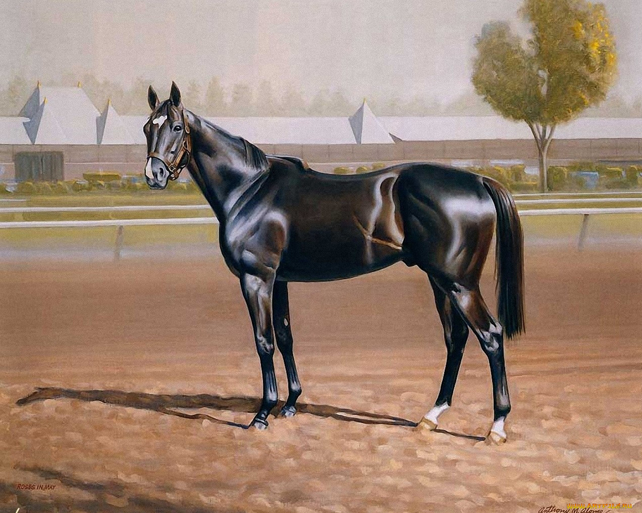 рисованные, животные, лошади