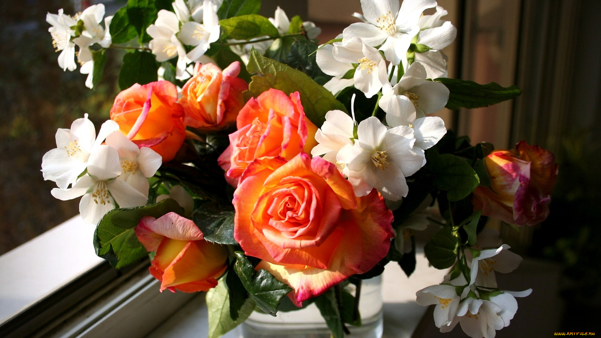 цветы, букеты, композиции, жасмин, розы