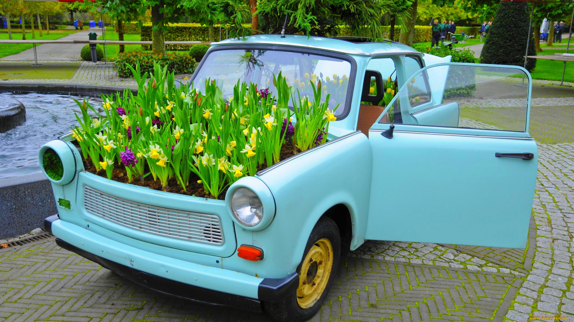 цветы, разные, вместе, оригинальный, цветник