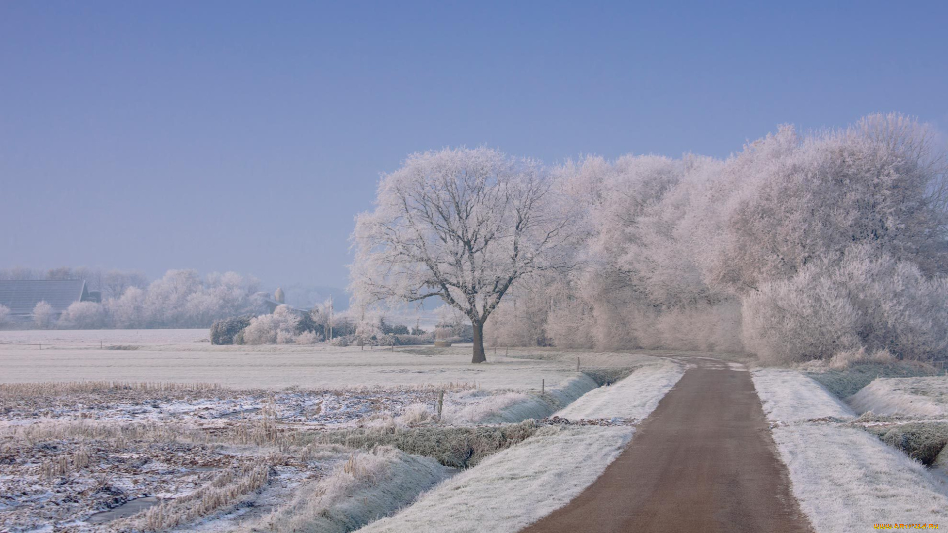 природа, зима, деревья, снег