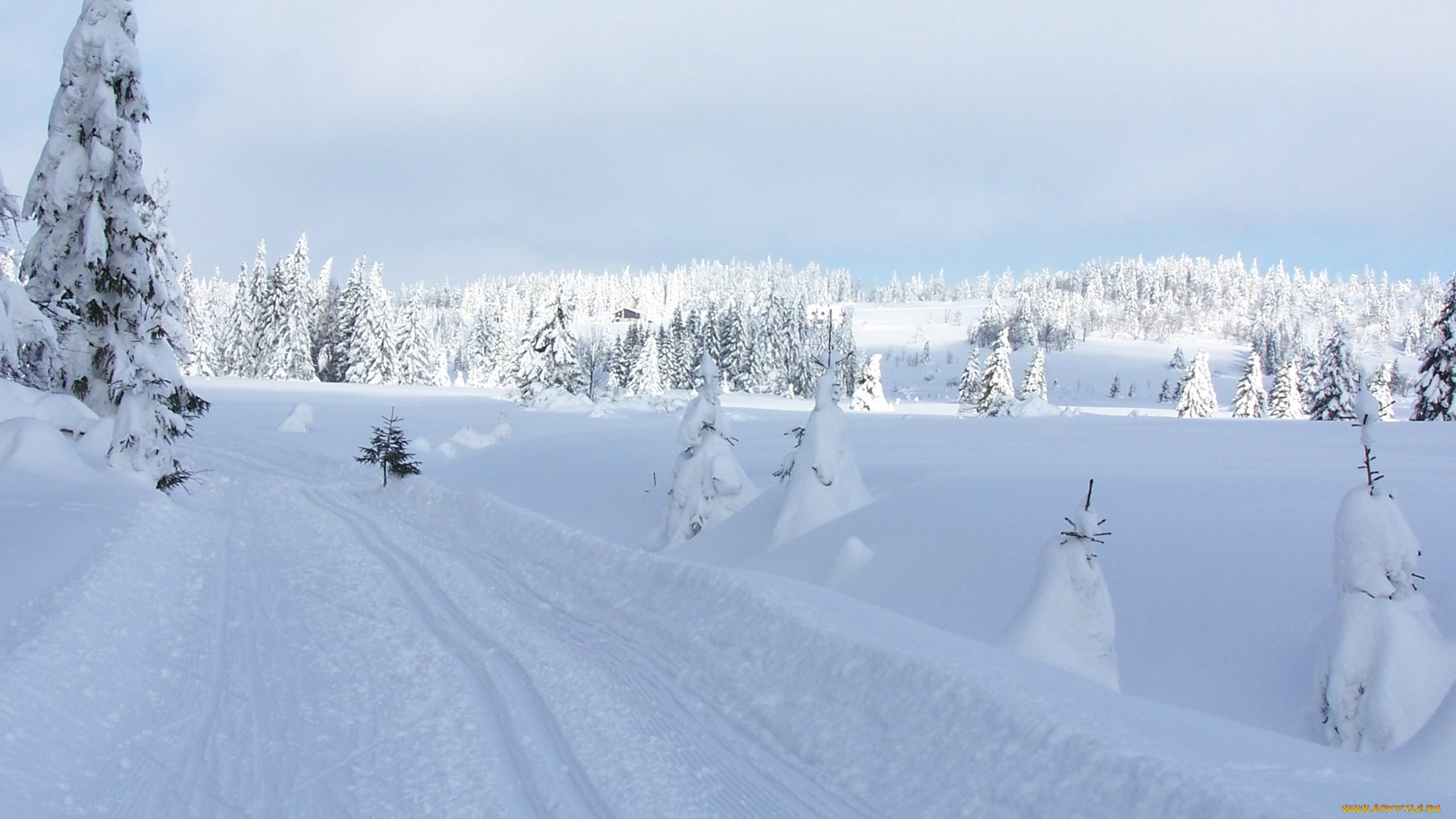 природа, зима, снег, сугробы, дорога, ели