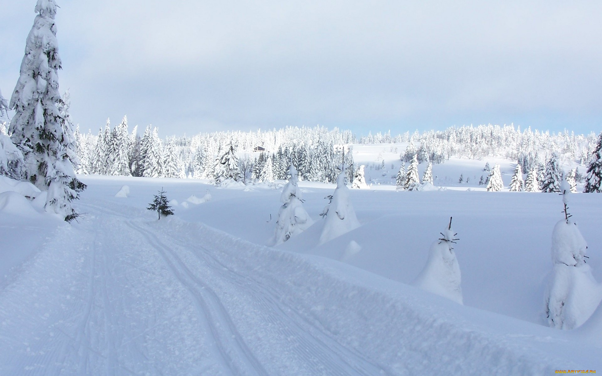 природа, зима, снег, сугробы, дорога, ели