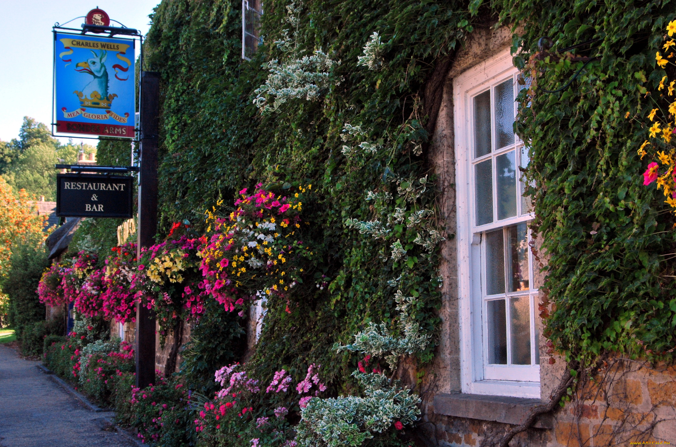 города, здания, дома, вывеска, цветы, дом