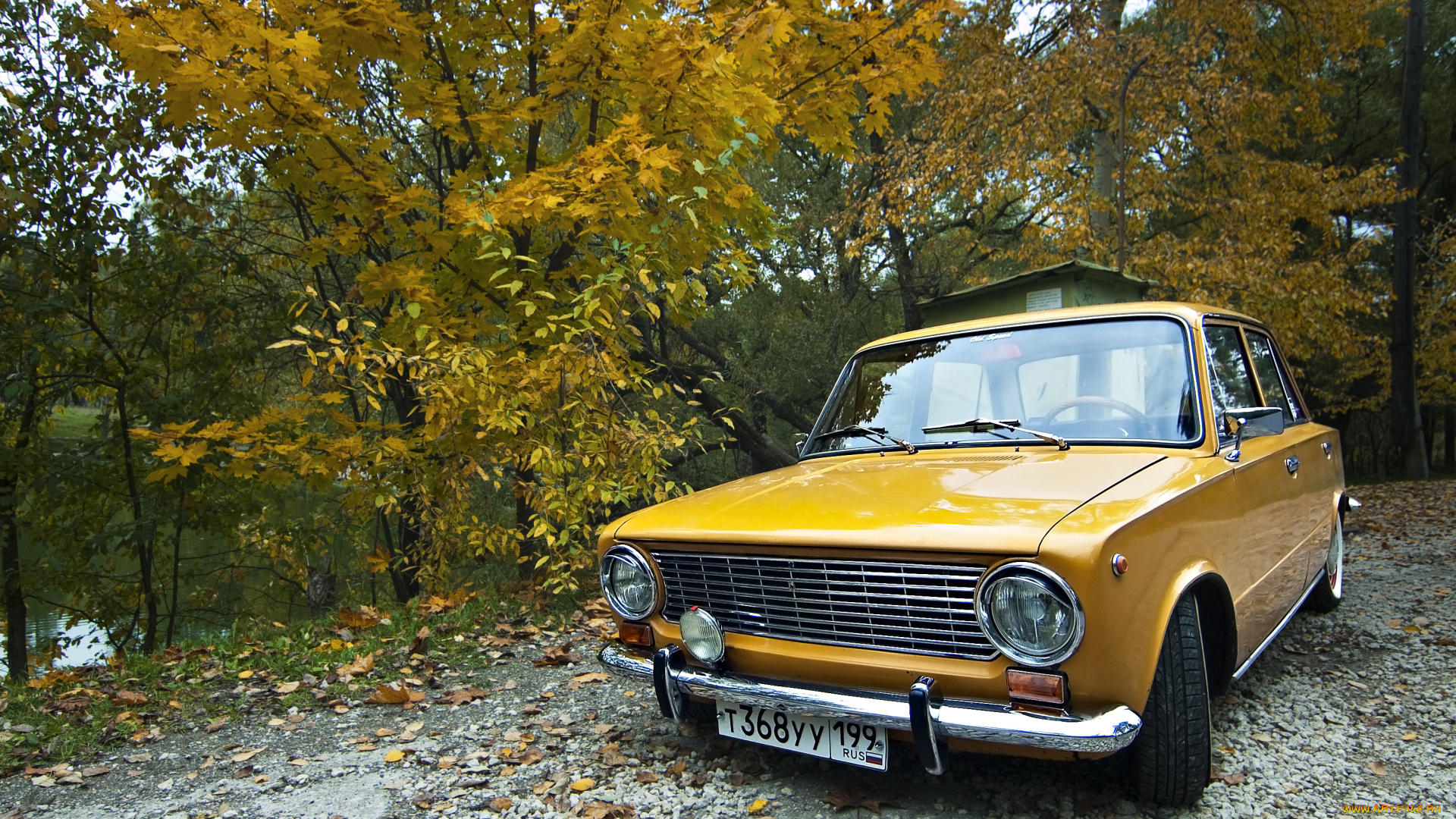 автомобили, ваз, lada, vaz, low, classic, лада, копейка, 2101, лес