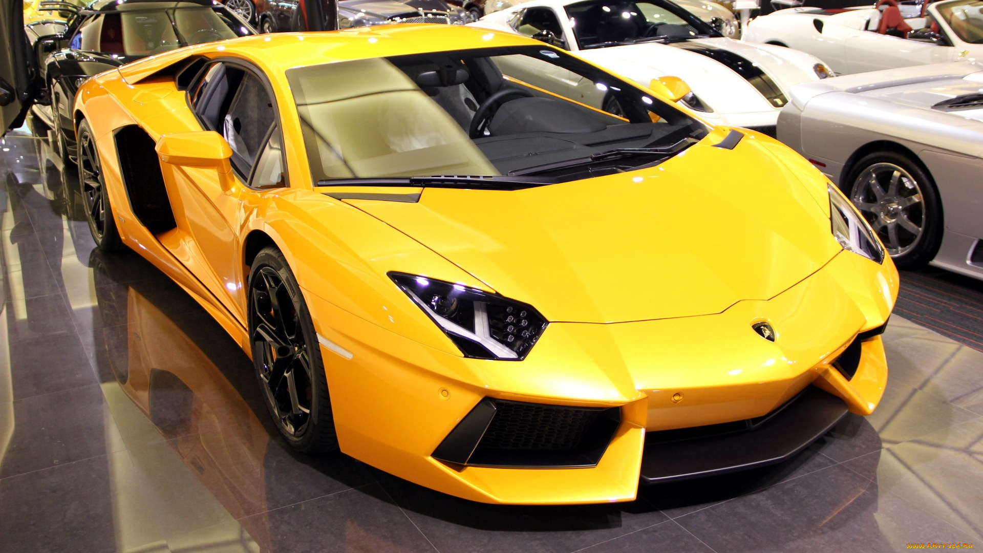 lamborghini, aventador, автомобили, выставки, уличные, фото, италия, спортивный, люкс