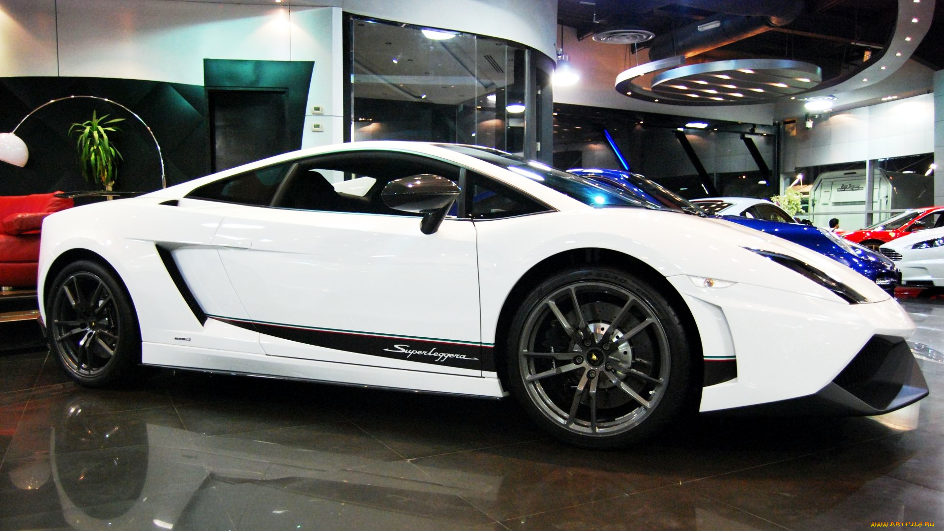 lamborghini, gallardo, автомобили, выставки, уличные, фото, элитный, спортивный, италия