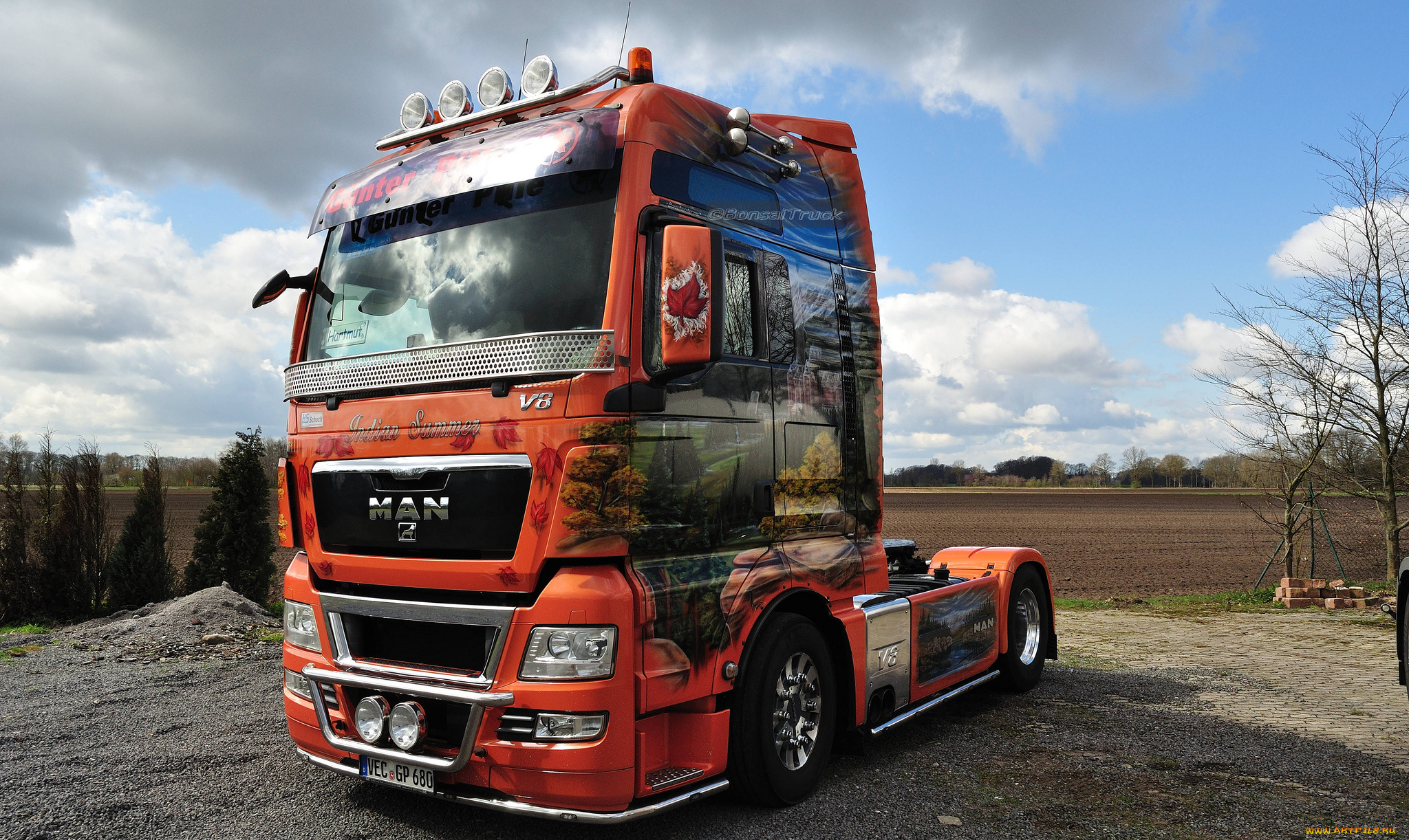 автомобили, man, truck, кабина