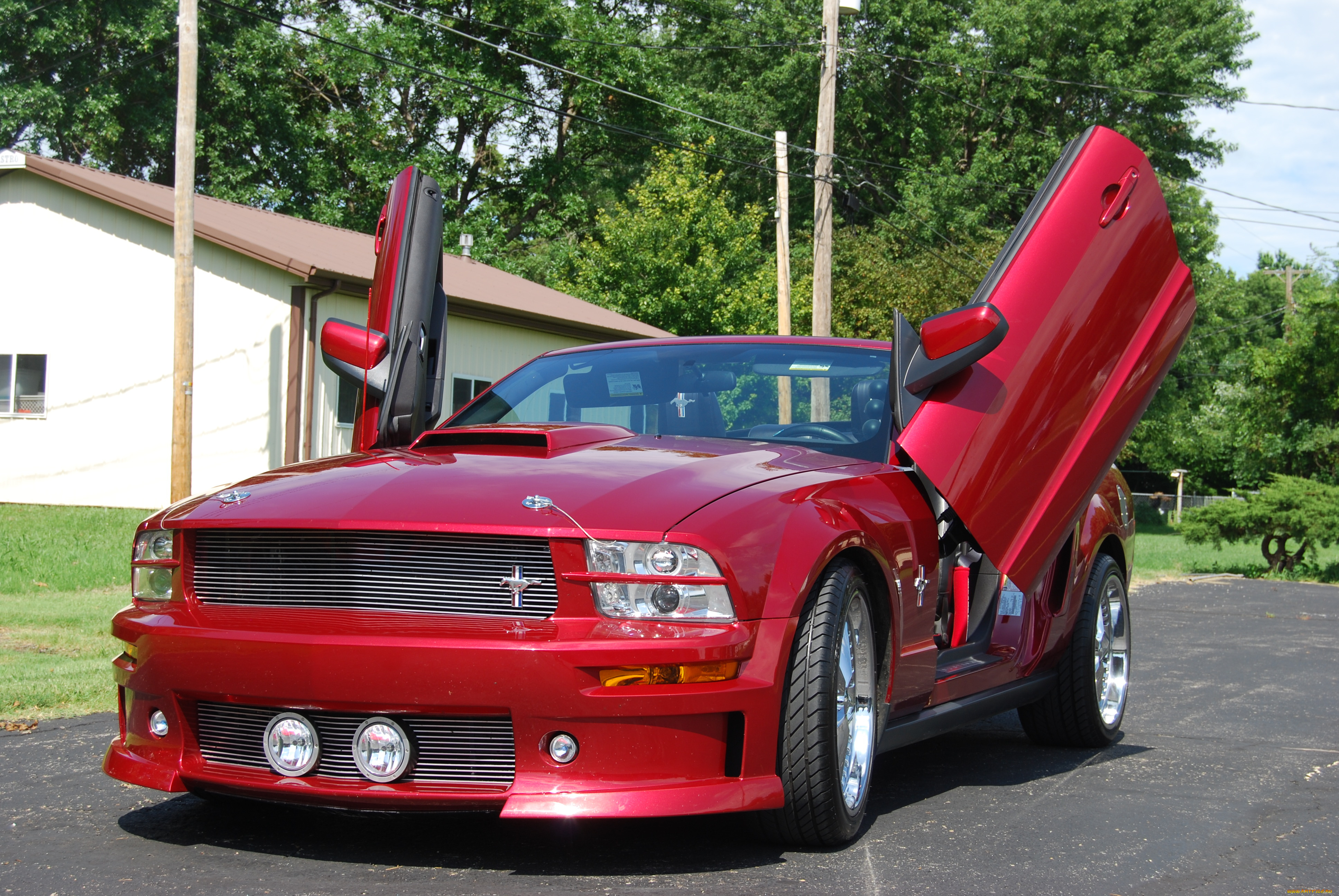 автомобили, mustang