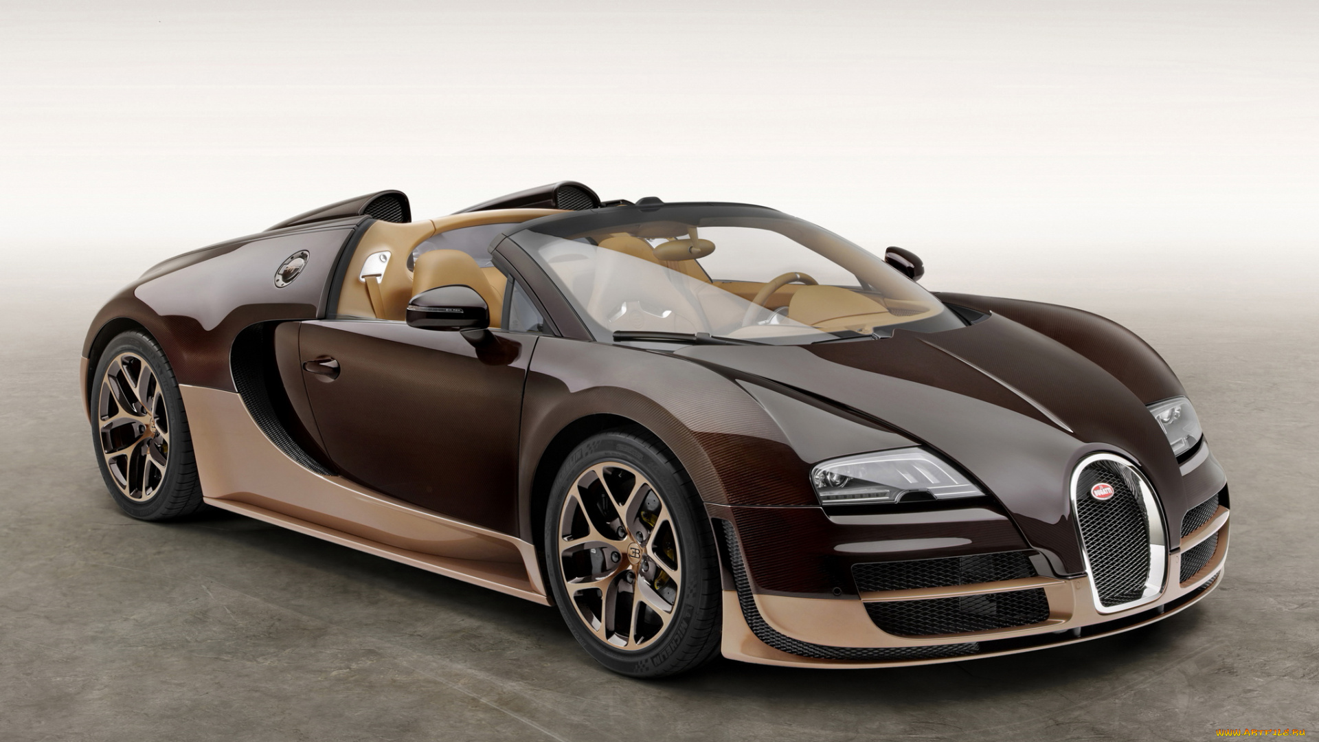 автомобили, bugatti, veyron, grand, sport, roadster, vitesse, rembrandt, 2014