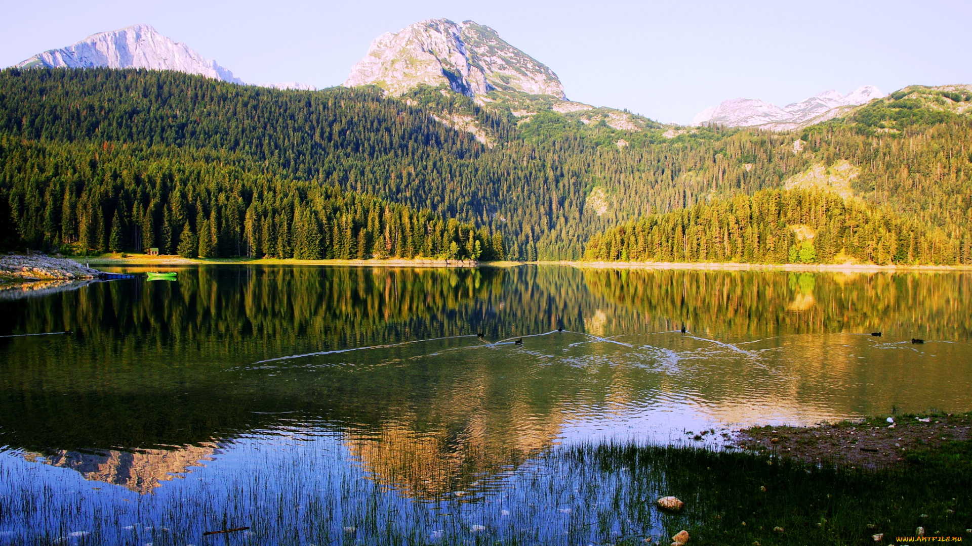 Черногория, black, lake, природа, реки, озера, Черногория, black, lake, озеро, лес