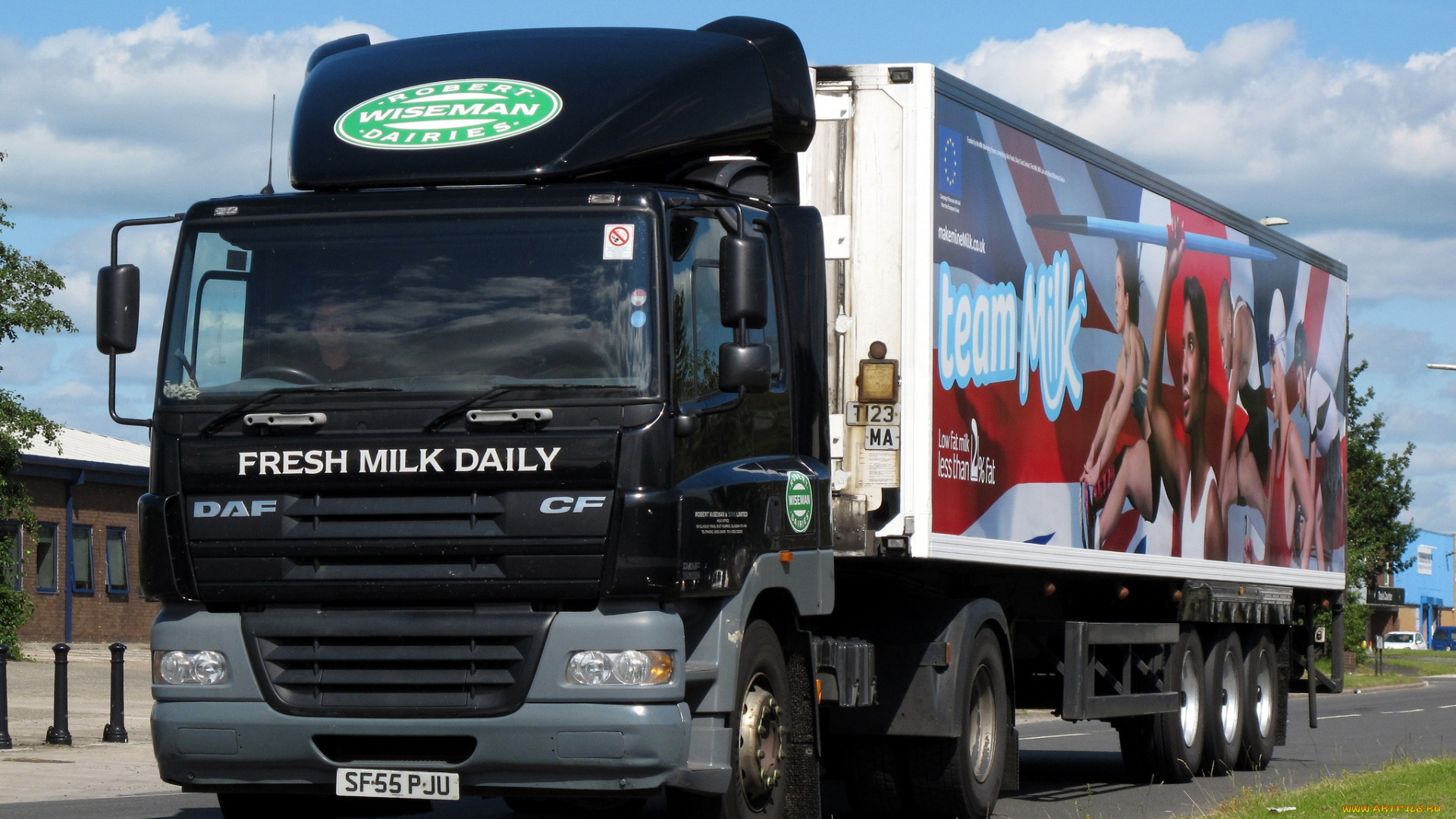 daf, cf, автомобили, daf, , выставка, улица, тягачи, седельные, nv, нидерланды, шасси, daf, trucks, автобусы