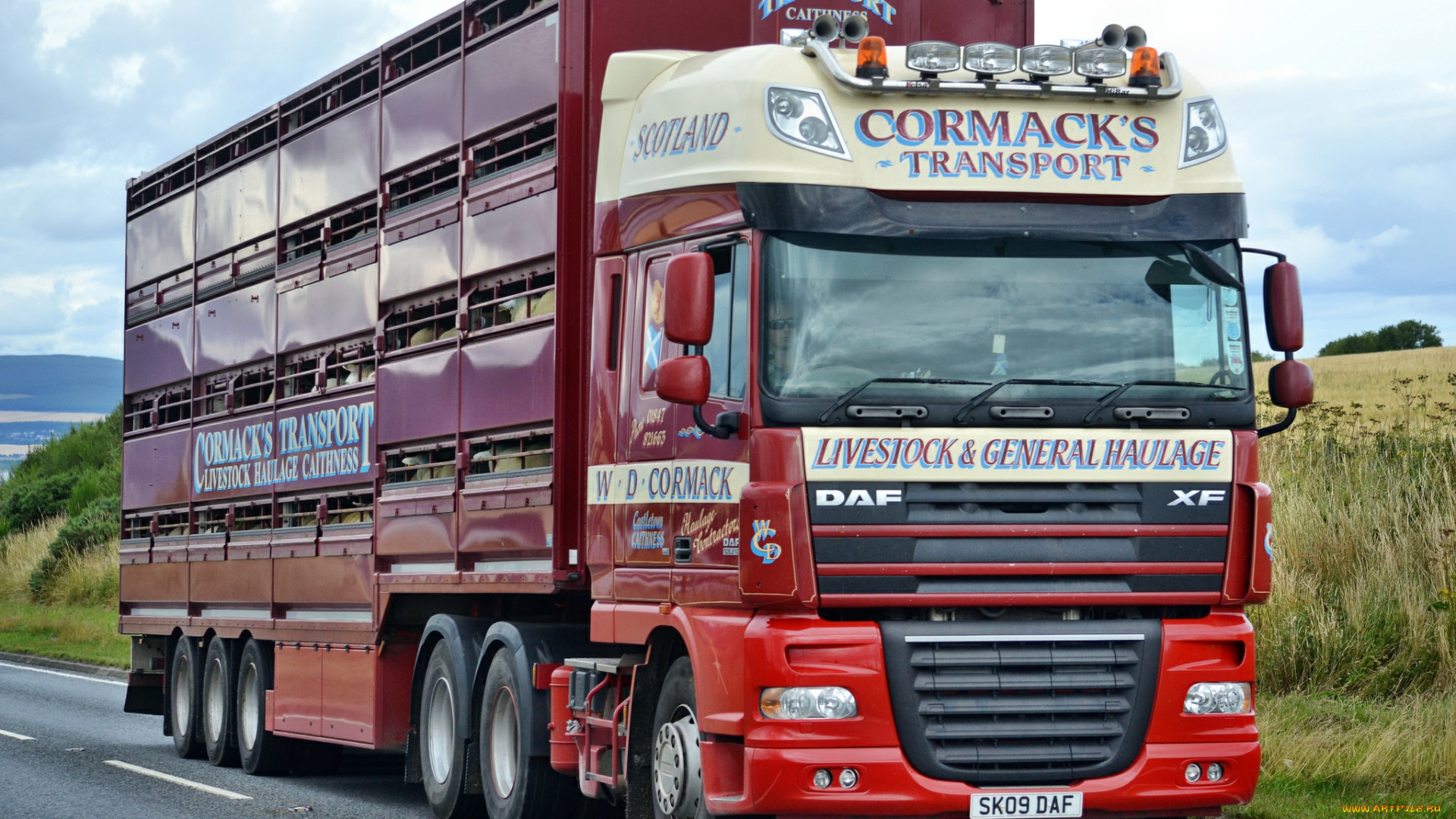 daf, xf, автомобили, daf, , выставка, улица, daf, trucks, nv, шасси, автобусы, седельные, тягачи, нидерланды