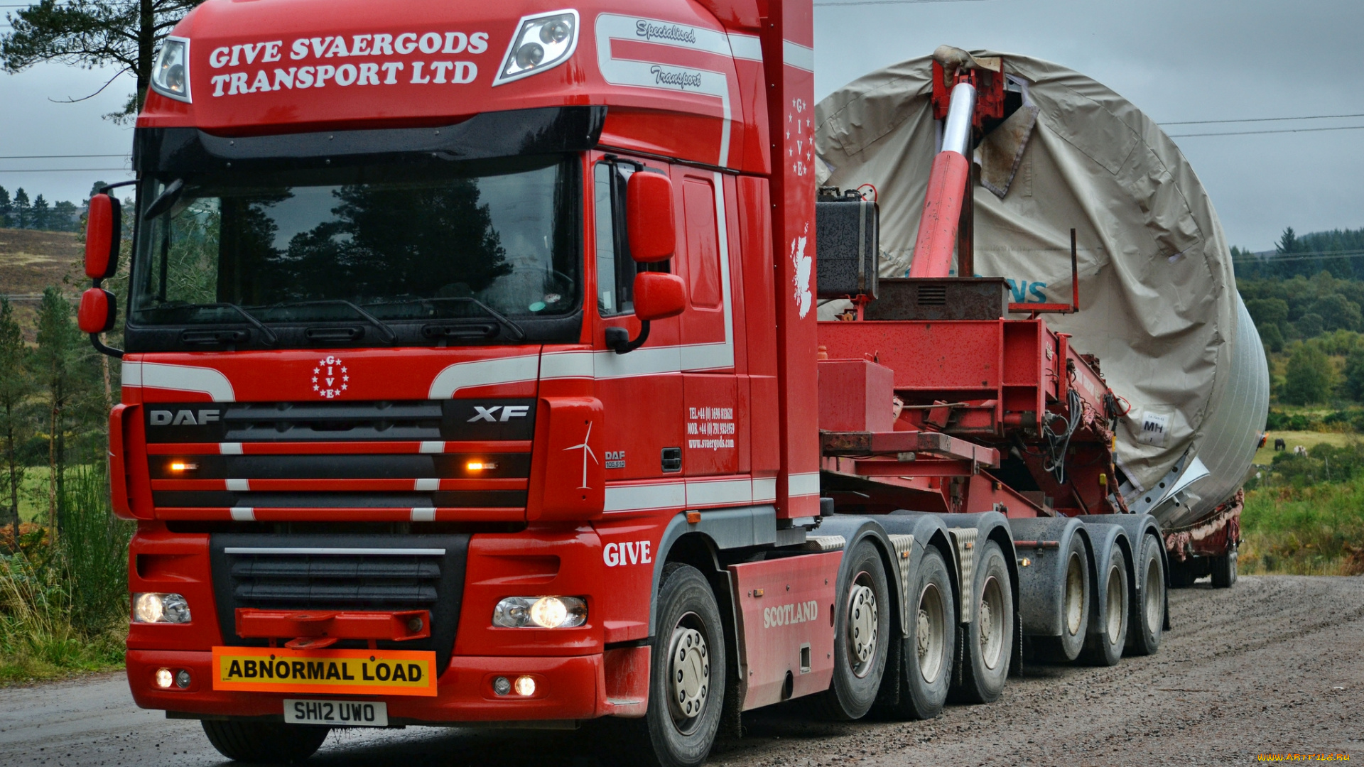 daf, xf, автомобили, daf, , выставка, улица, тягачи, шасси, nv, седельные, автобусы, trucks, нидерланды, daf