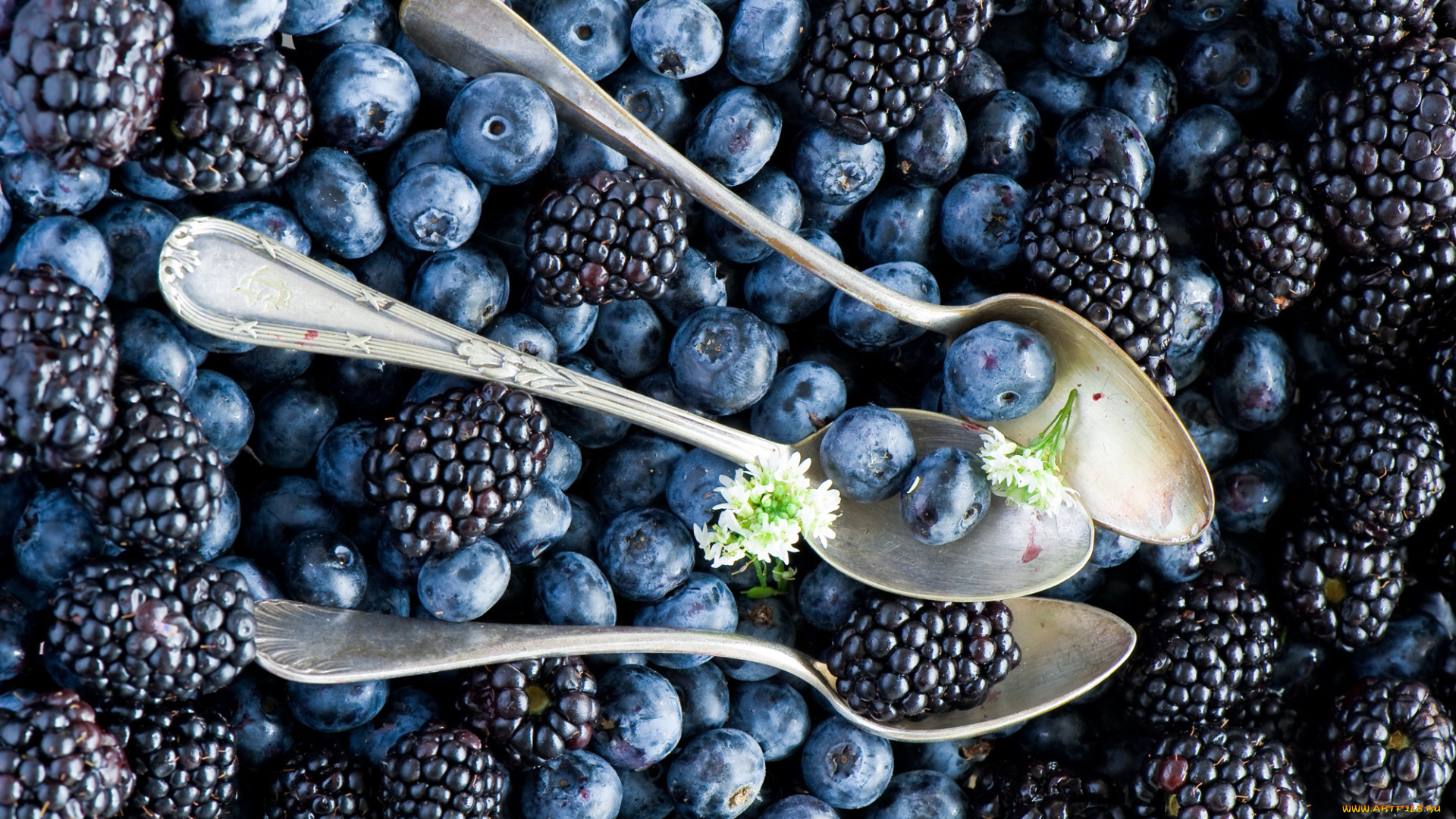 еда, фрукты, , ягоды, черника, шелковица, ложки, цветы