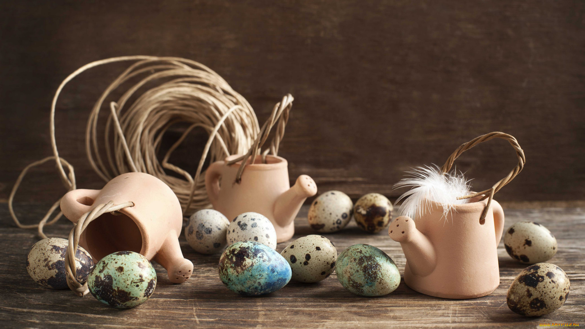 еда, Яйца, яйца, оформление, перо