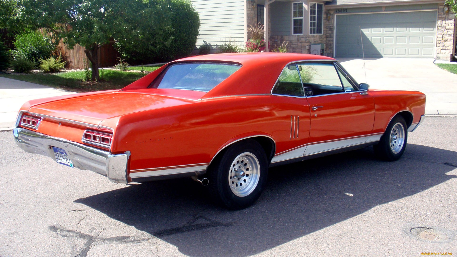 pontiac, gto, 1966, автомобили, выставки, и, уличные, фото, pontiac, gto, 1966, red, rear, красный, дом, парковка
