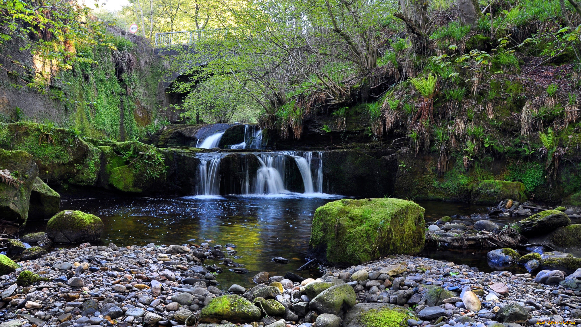 природа, водопады, мост, река, водопад, мох, камни, деревья, небо