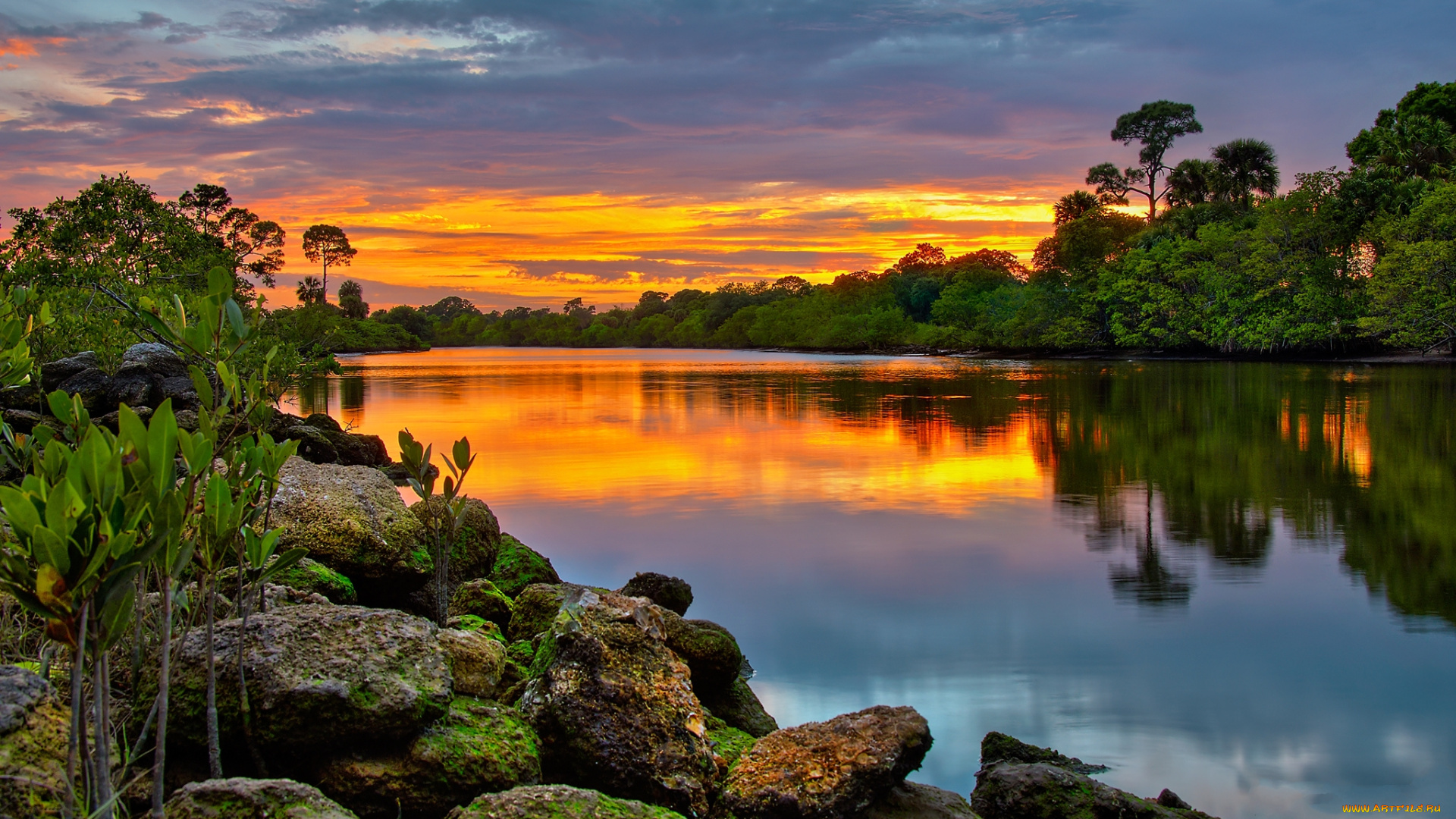 природа, восходы, закаты, лес, зарево, тучи, камни, река
