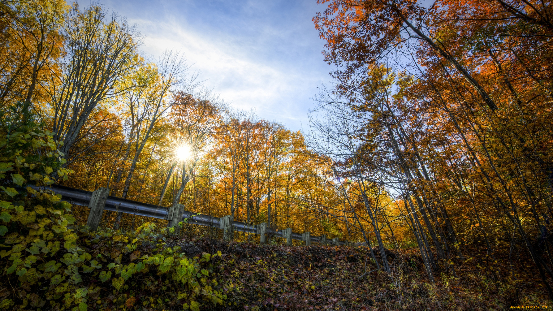 природа, восходы, закаты, ограда, овраг, лес, солнце