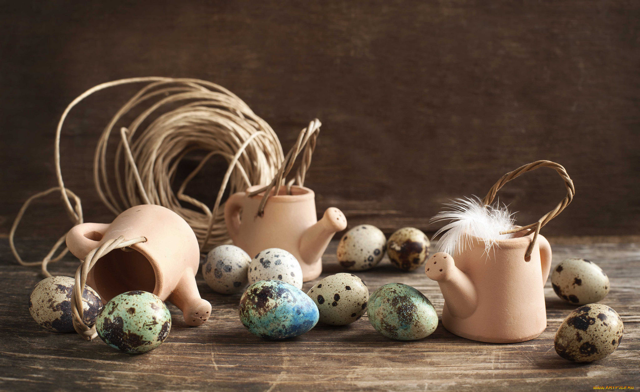 еда, Яйца, яйца, оформление, перо