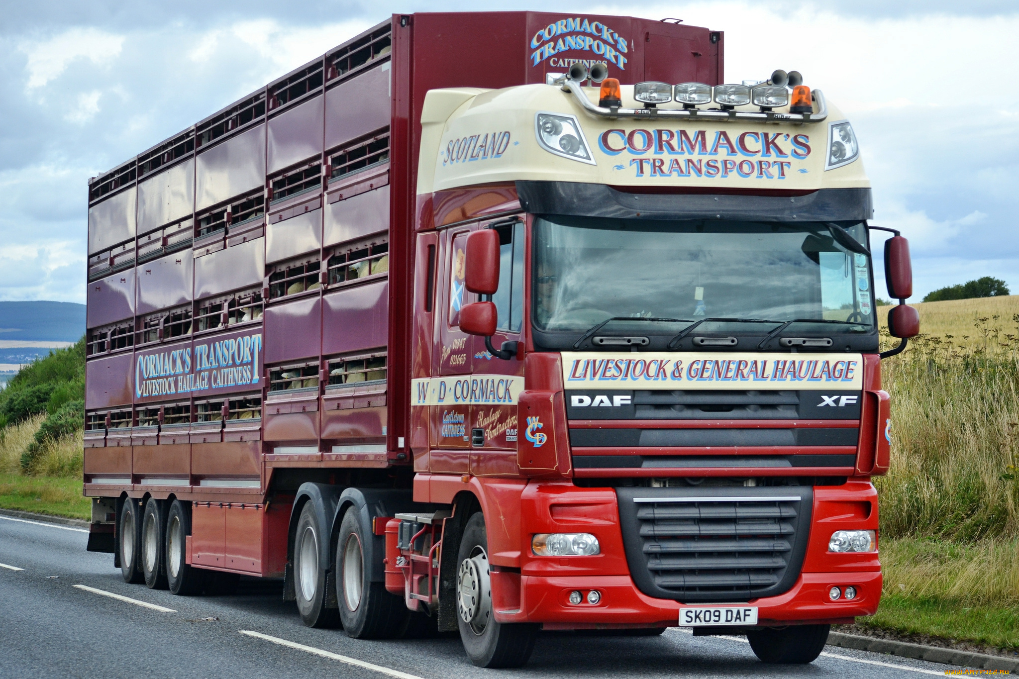 daf, xf, автомобили, daf, , выставка, улица, daf, trucks, nv, шасси, автобусы, седельные, тягачи, нидерланды