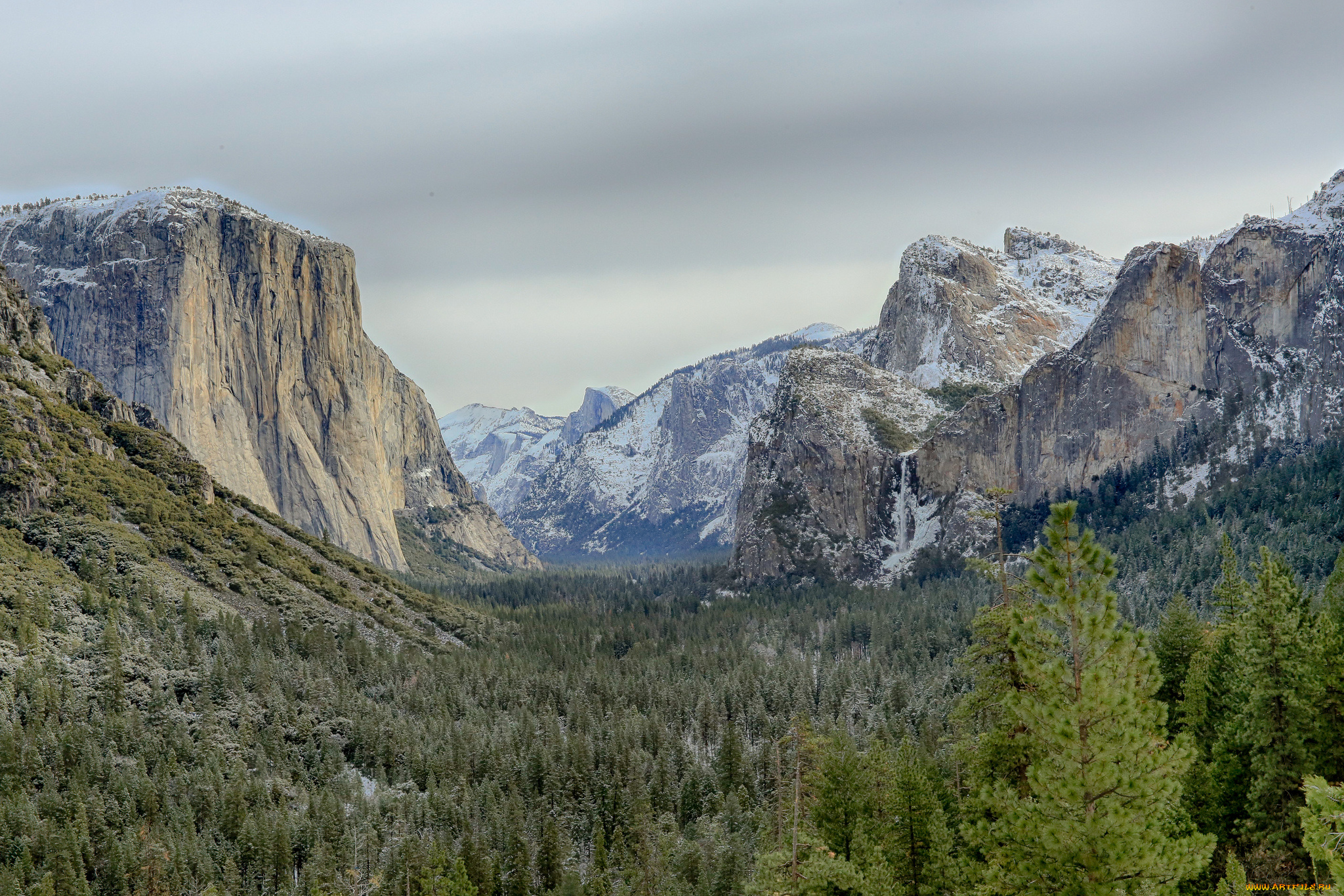 природа, горы, лес, распадок, скалы