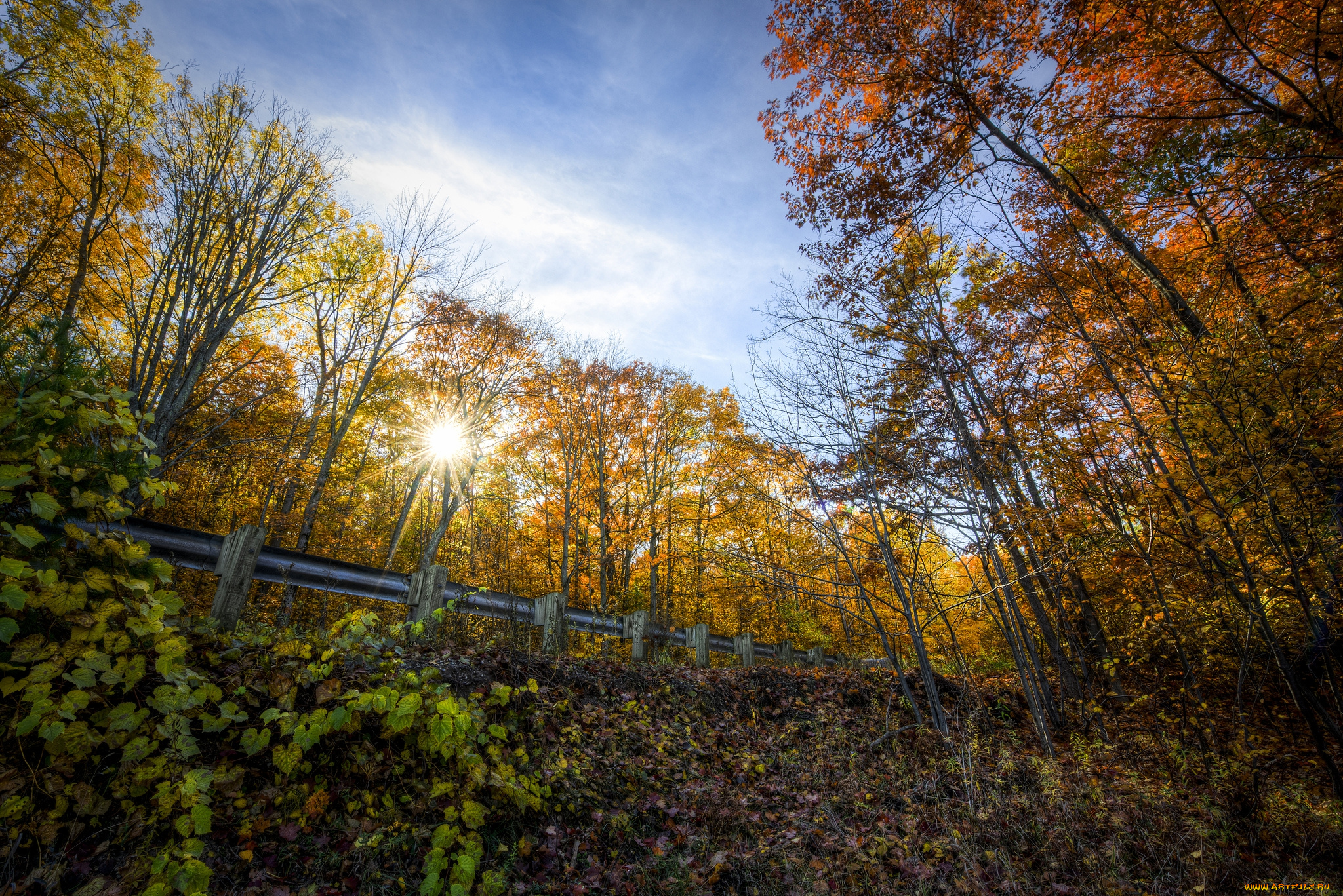 природа, восходы, закаты, ограда, овраг, лес, солнце