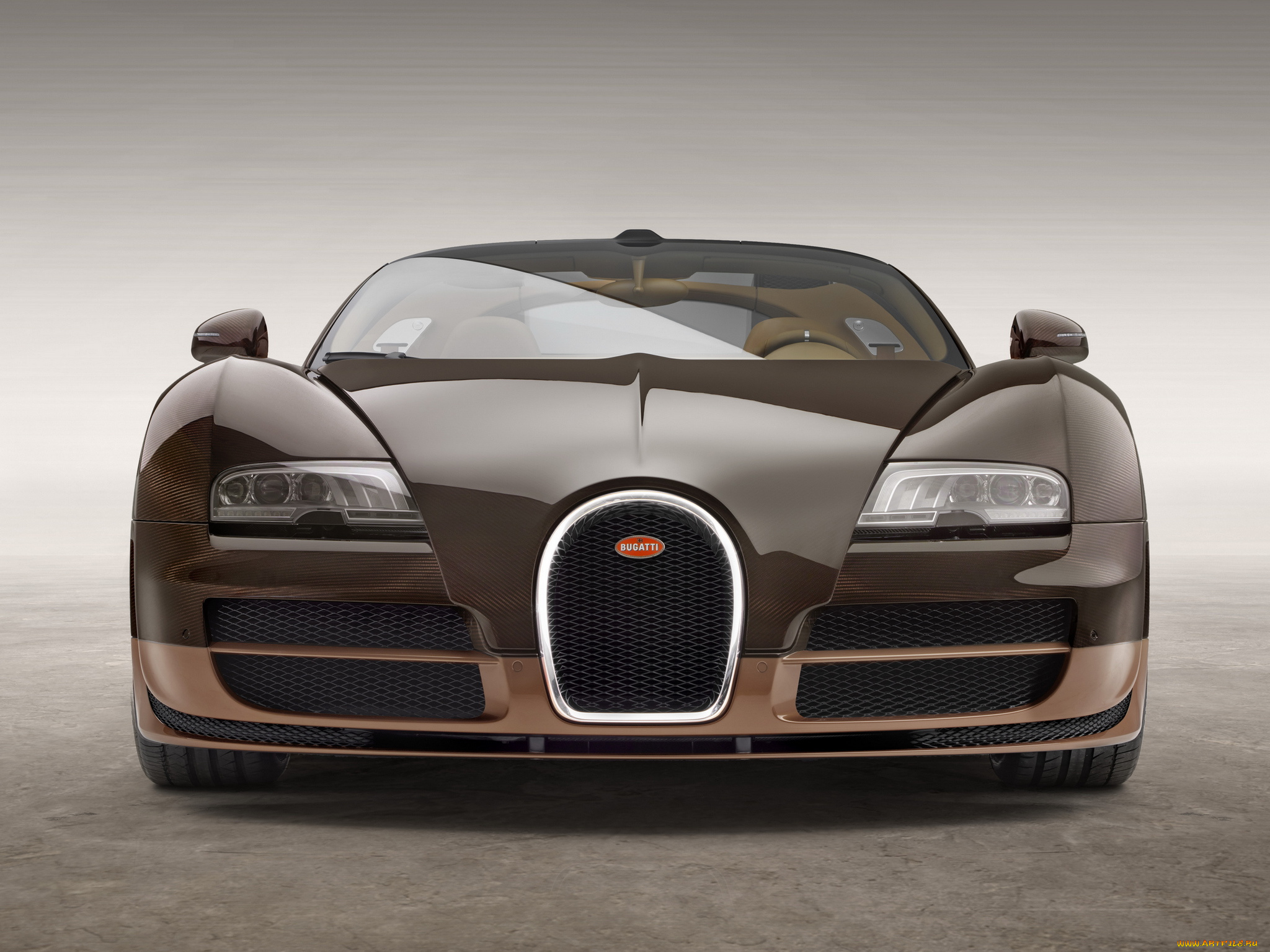 автомобили, bugatti, veyron, grand, sport, roadster, vitesse, rembrandt, 2014