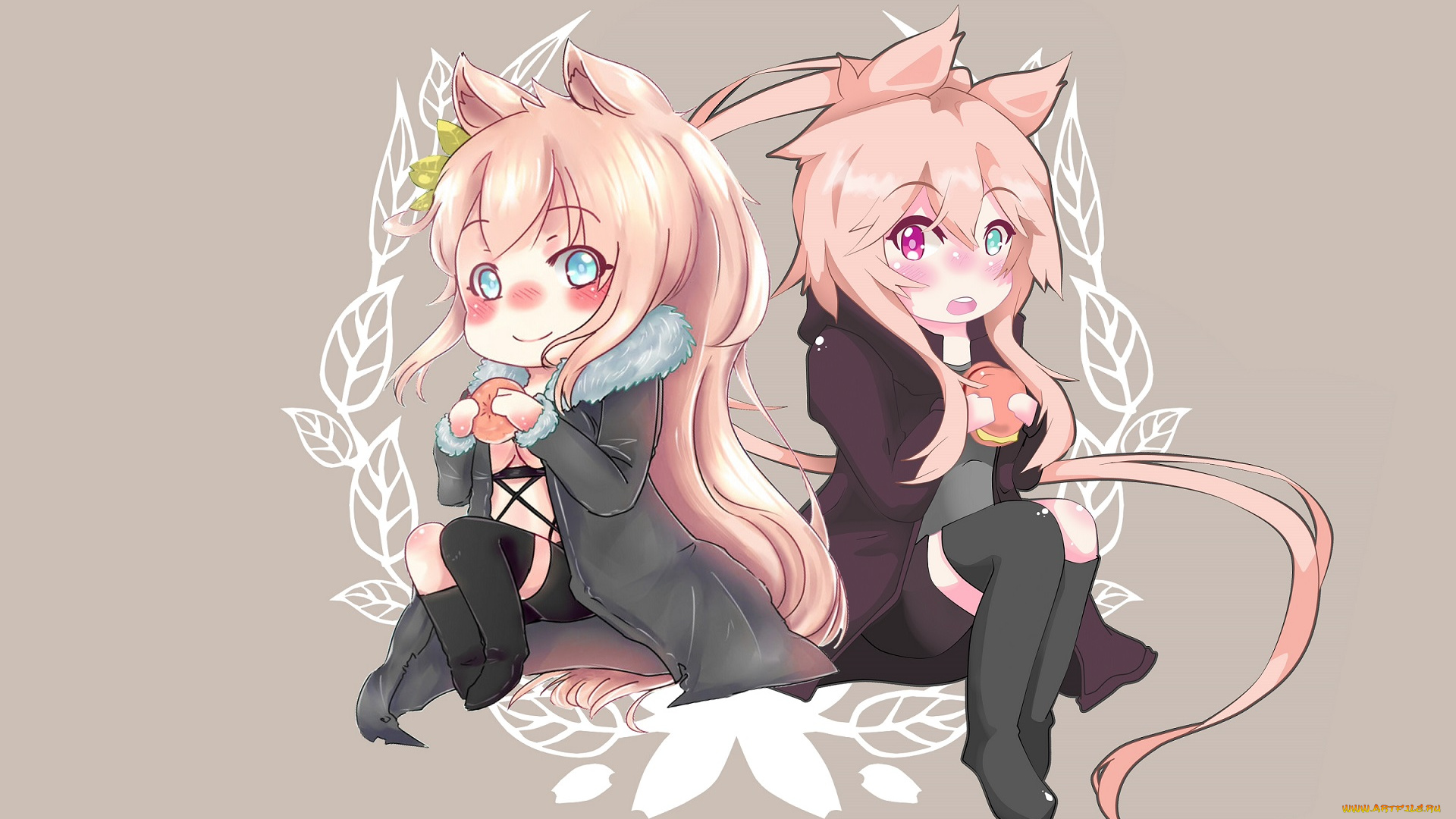 аниме, животные, , существа, взгляд, еда, пончики, ушки, девушки, арт, фон