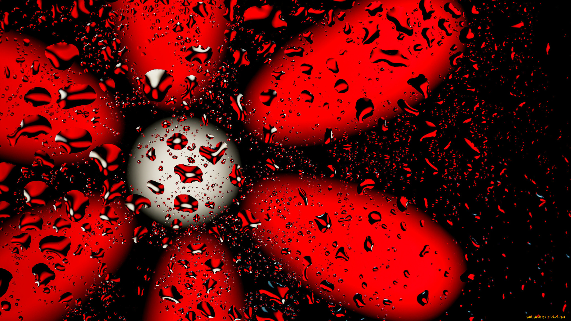 разное, капли, , брызги, , всплески, красный, цветок, блик, фон, цвет