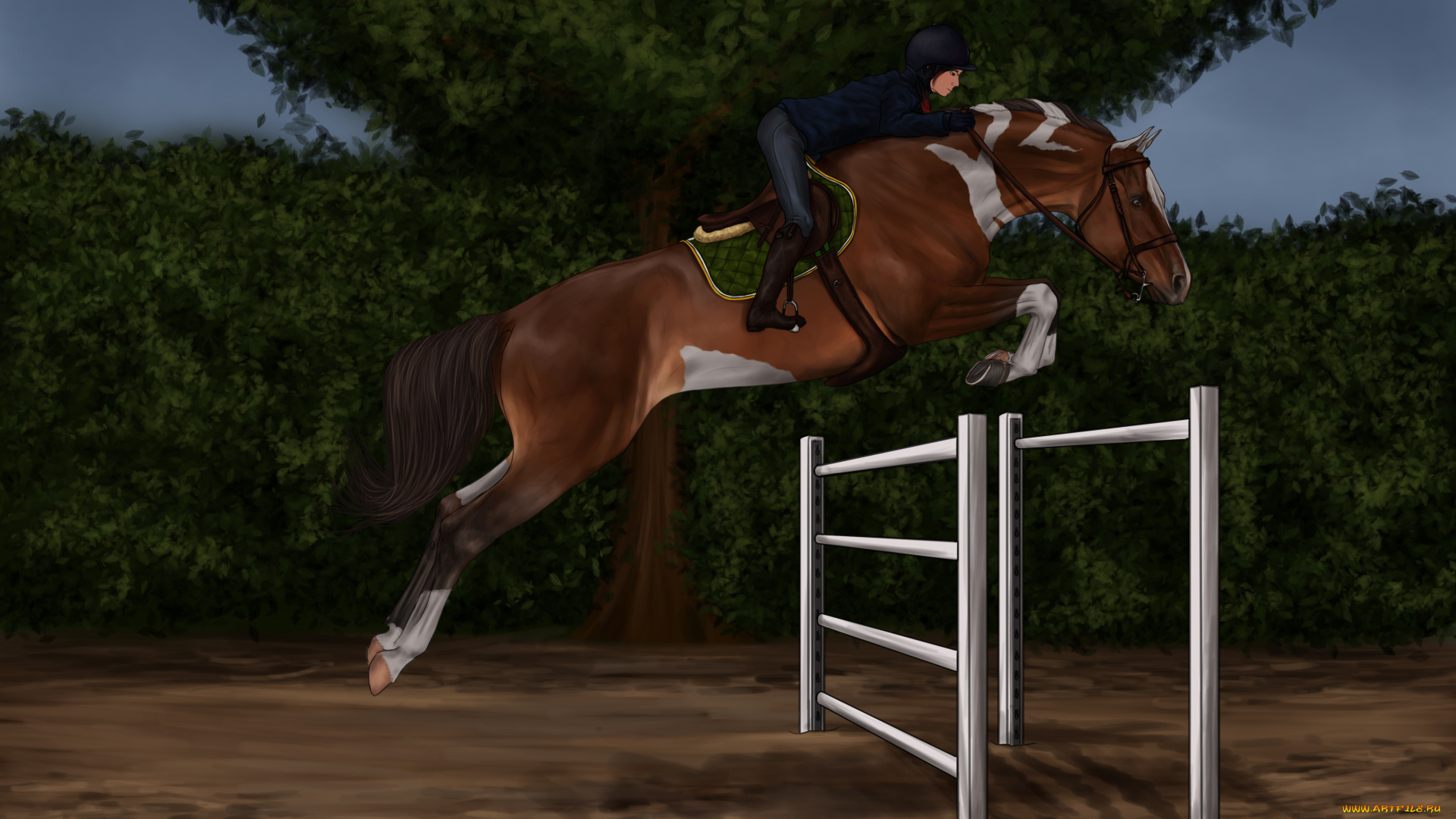 рисованное, животные, , лошади, ипподром, лошадь, скачки, жокей