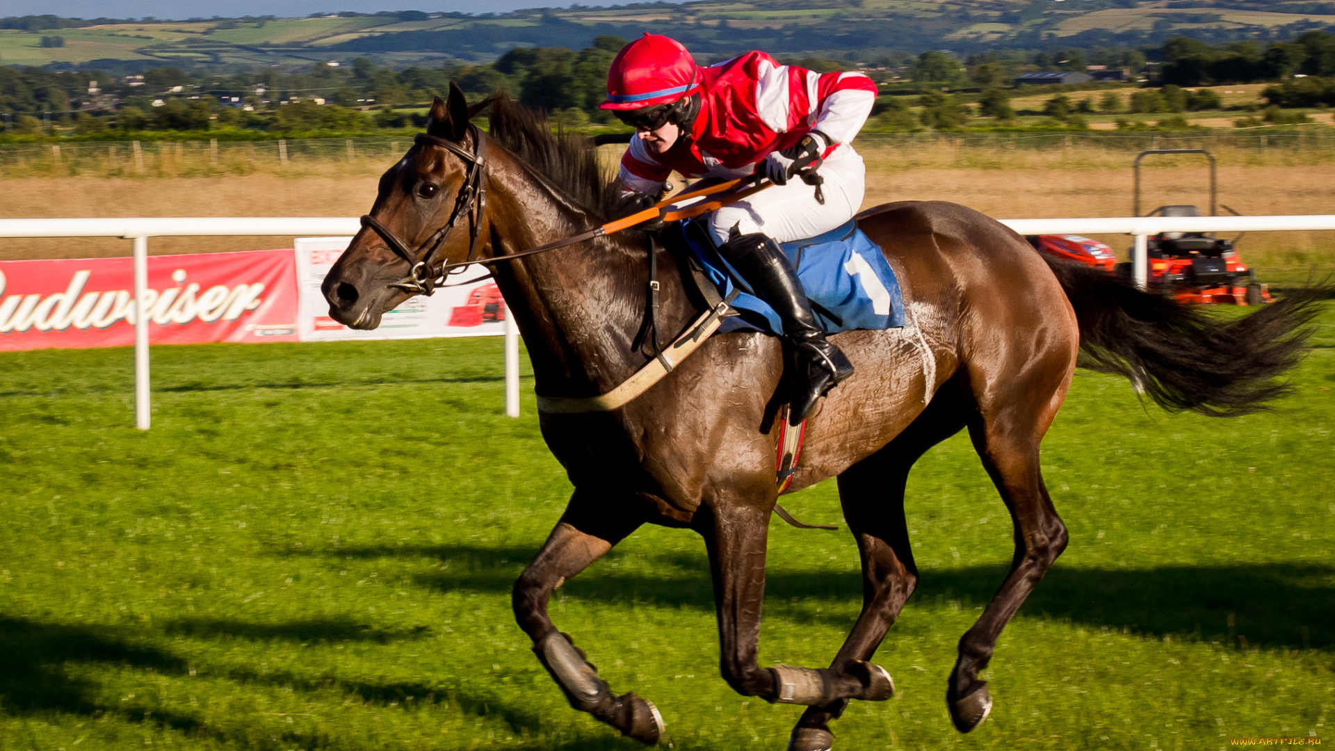 спорт, конный, спорт, ипподром, скачки, жокей, лошадь