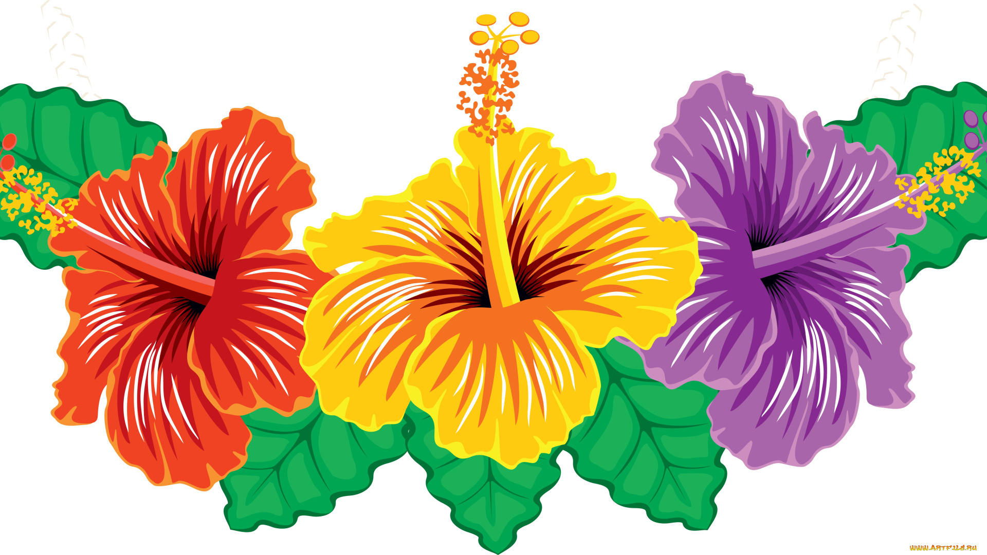 векторная, графика, цветы, лепестки, фон, листья