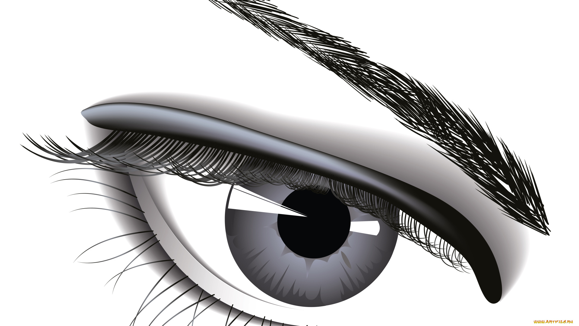 векторная, графика, другое, фон, брови, глаз