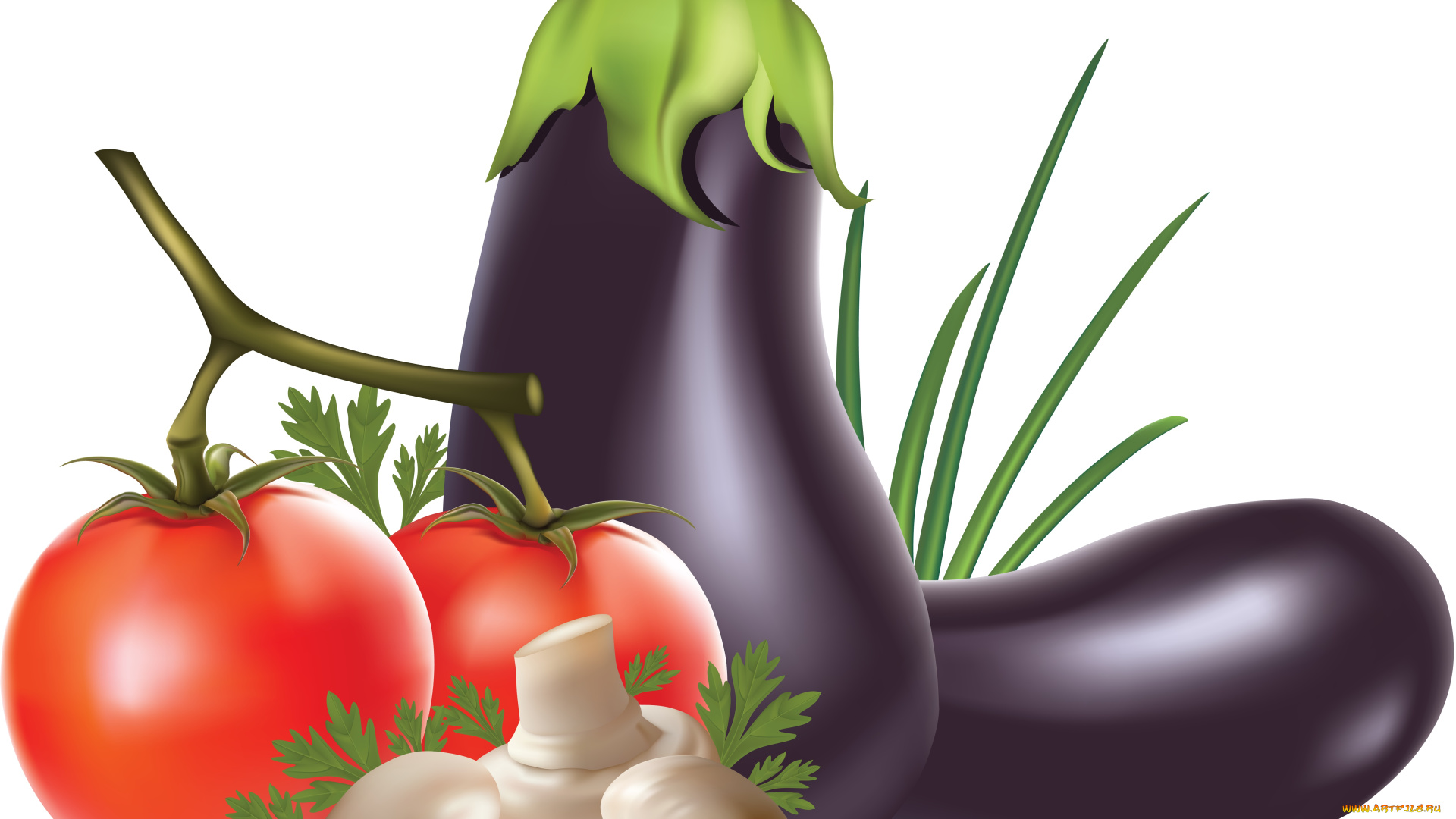 векторная, графика, еда, фон, перец, приправа, грибы, помидор