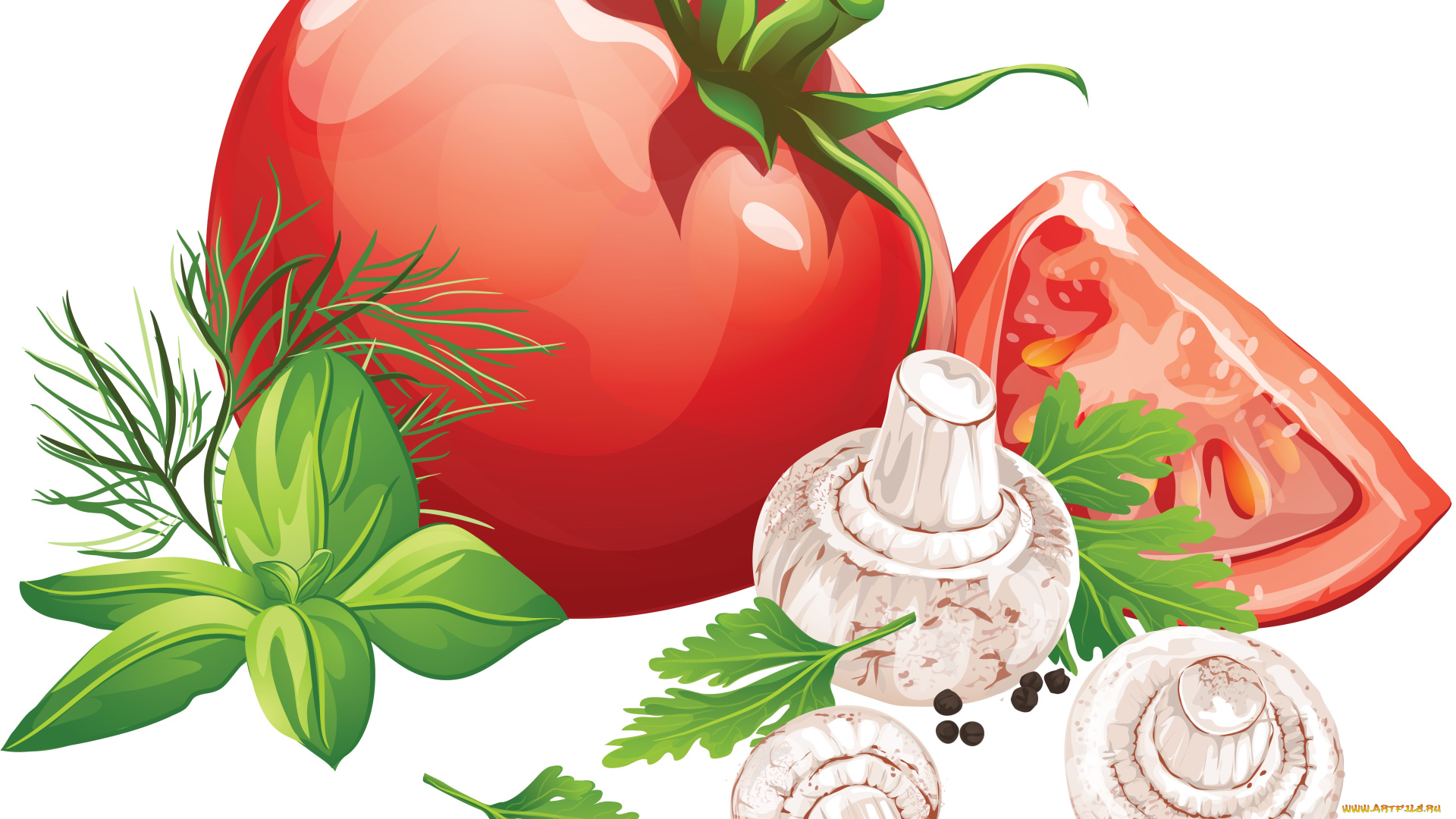 векторная, графика, еда, помидор, приправа, грибы