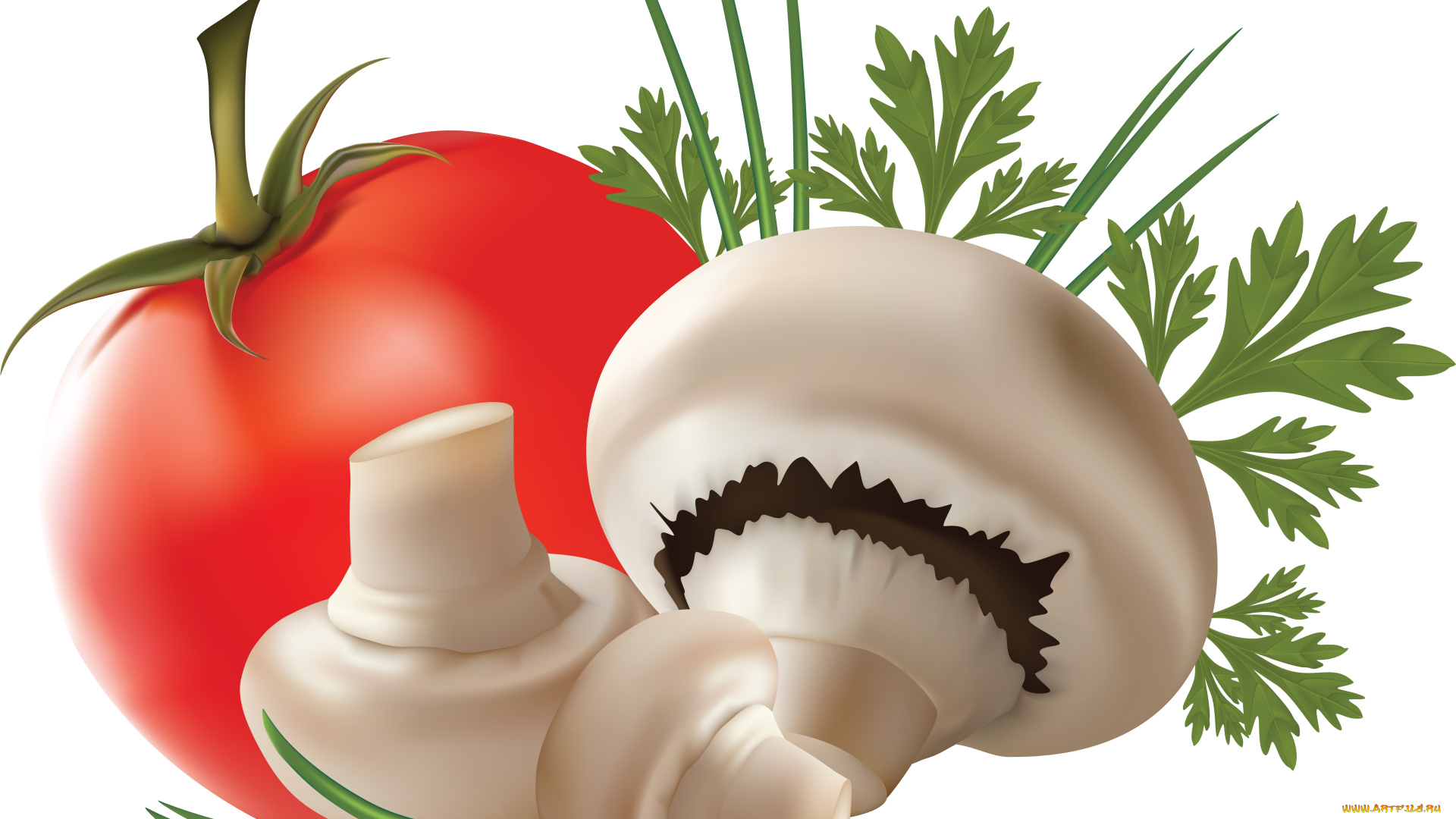 векторная, графика, еда, приправа, грибы, помидор