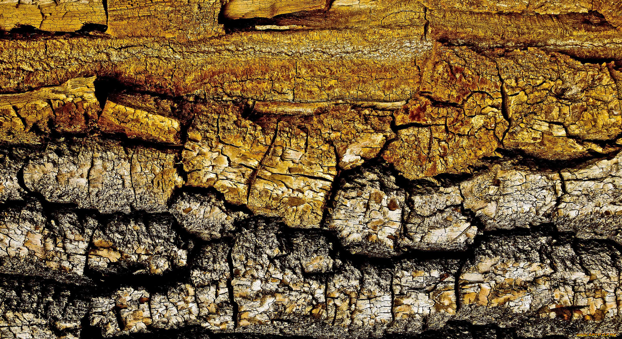 разное, текстуры, фон, текстура, трещины, дерево