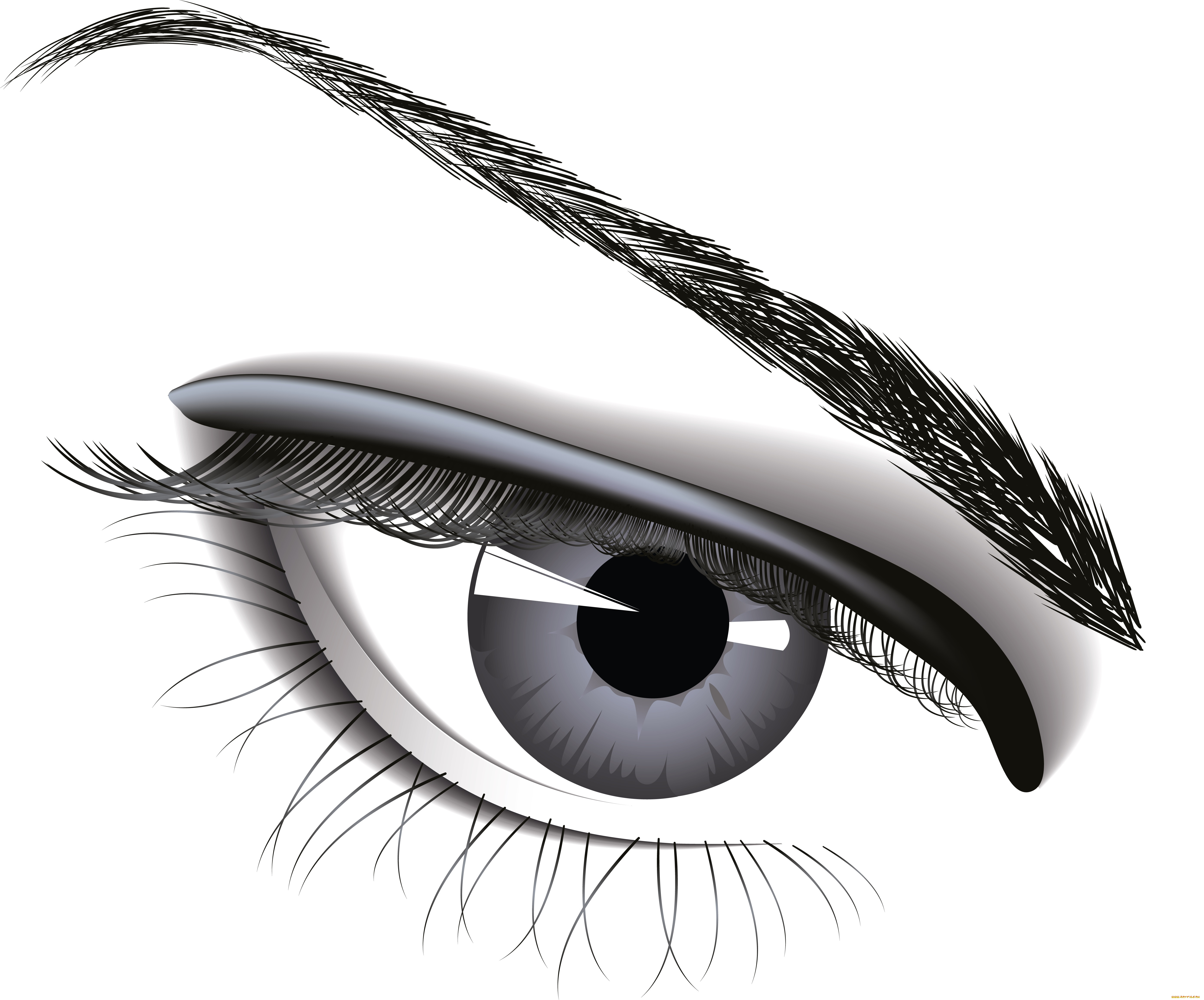 векторная, графика, другое, фон, брови, глаз