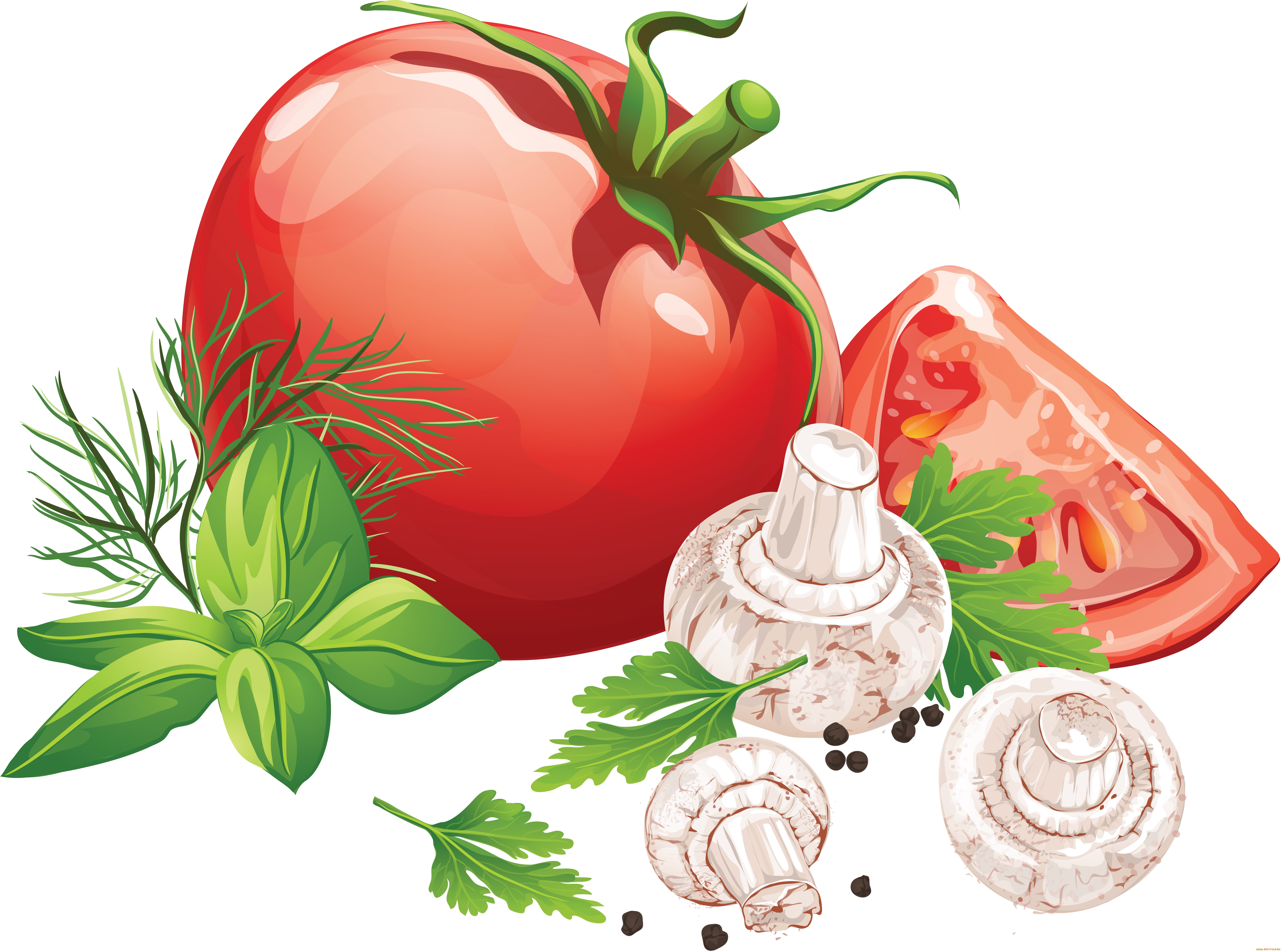 векторная, графика, еда, помидор, приправа, грибы