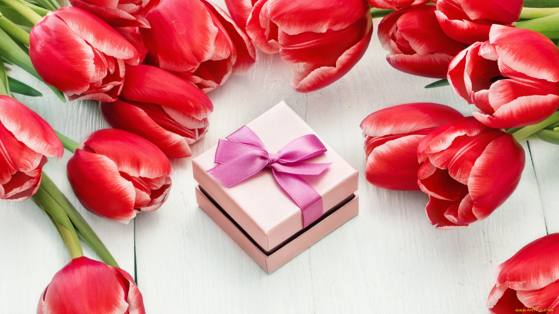 праздничные, международный, женский, день, -, 8, марта, цветы, red, tulips, тюльпаны, 8, марта, romantic, gift, красные, colorful, love