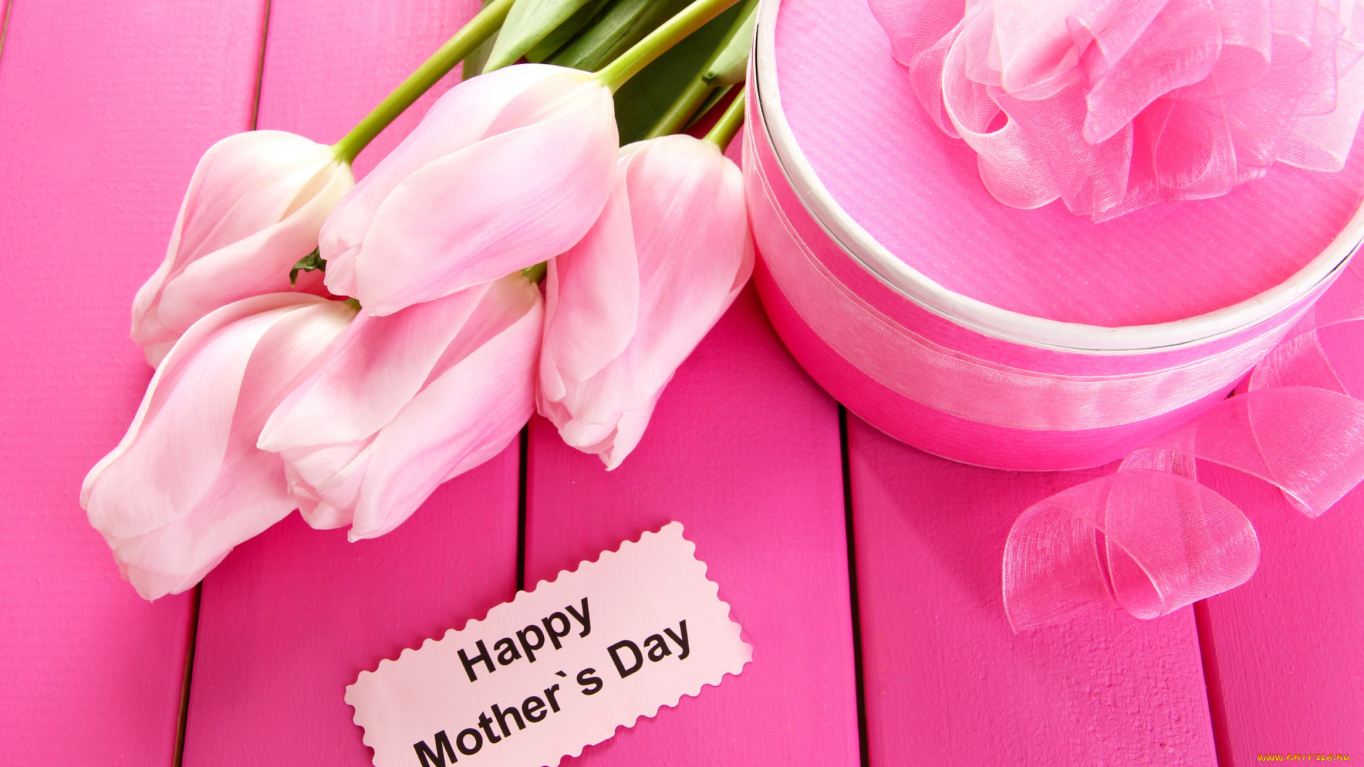 праздничные, международный, женский, день, -, 8, марта, tulips, 8, марта, тюльпаны, gift, цветы, подарок, лента, flowers